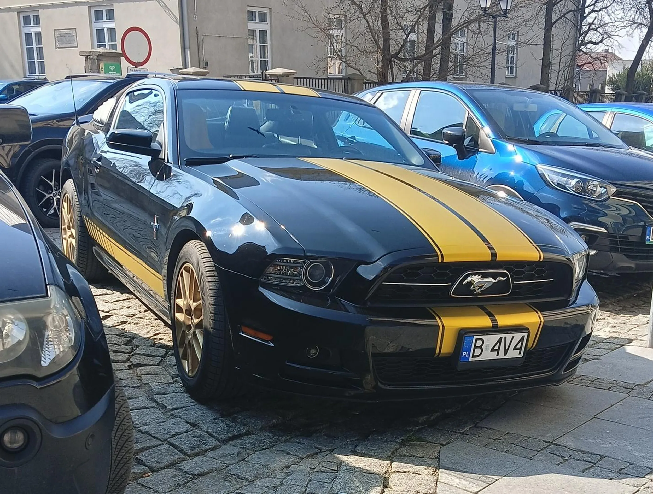 BArdzo ładny mustang