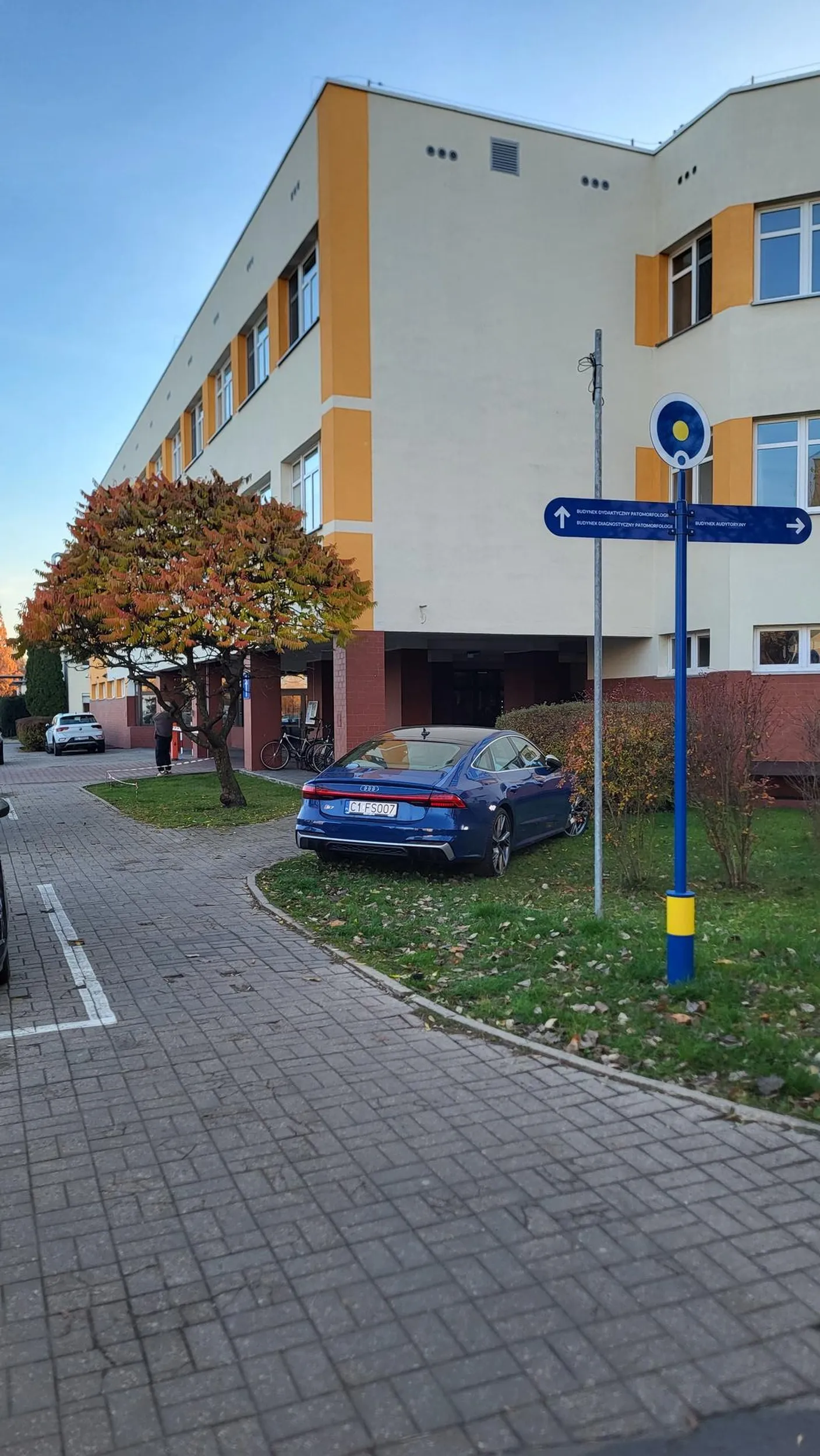 Bezczelny typ rozjezdza trawnik na terenie szpitala Jurasza. Następnym razem w krzaki pewnie wjedzie.