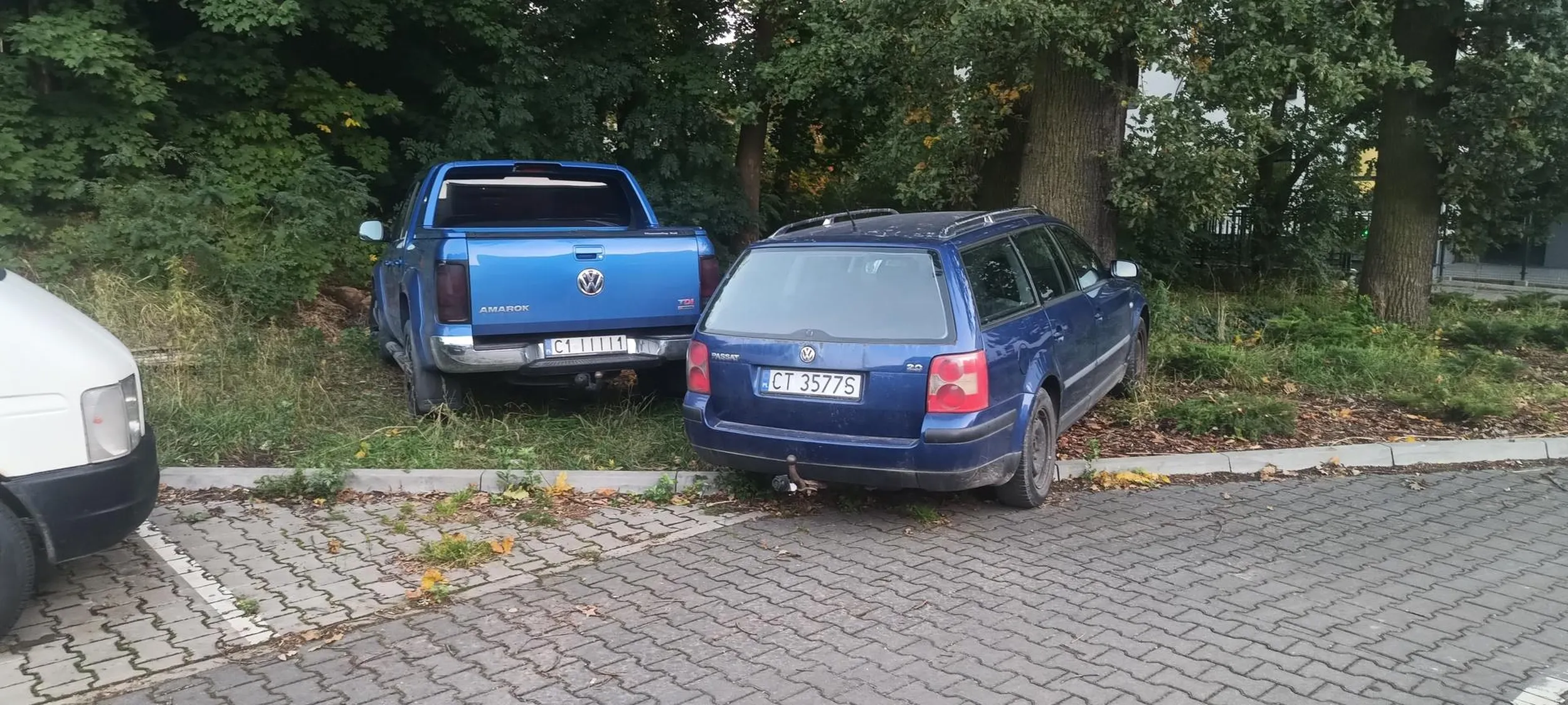 Fagas parkuje wprost na nasadzeniach, a na uwagi nie reaguje.