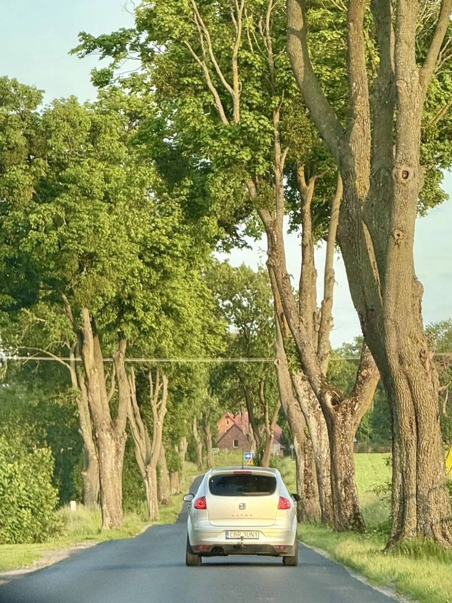 Chłopie (czy tam babo) raz jedziesz środkiem, raz nie; ogólnie strach cię było wyprzedzić żebyś nie wjechał. W załączeniu zdjęcie żebyś nie myślał, że wymyślam Nie wymyślam. Trzymaj tą kierownicę dwiema rękami a będzie dobrze