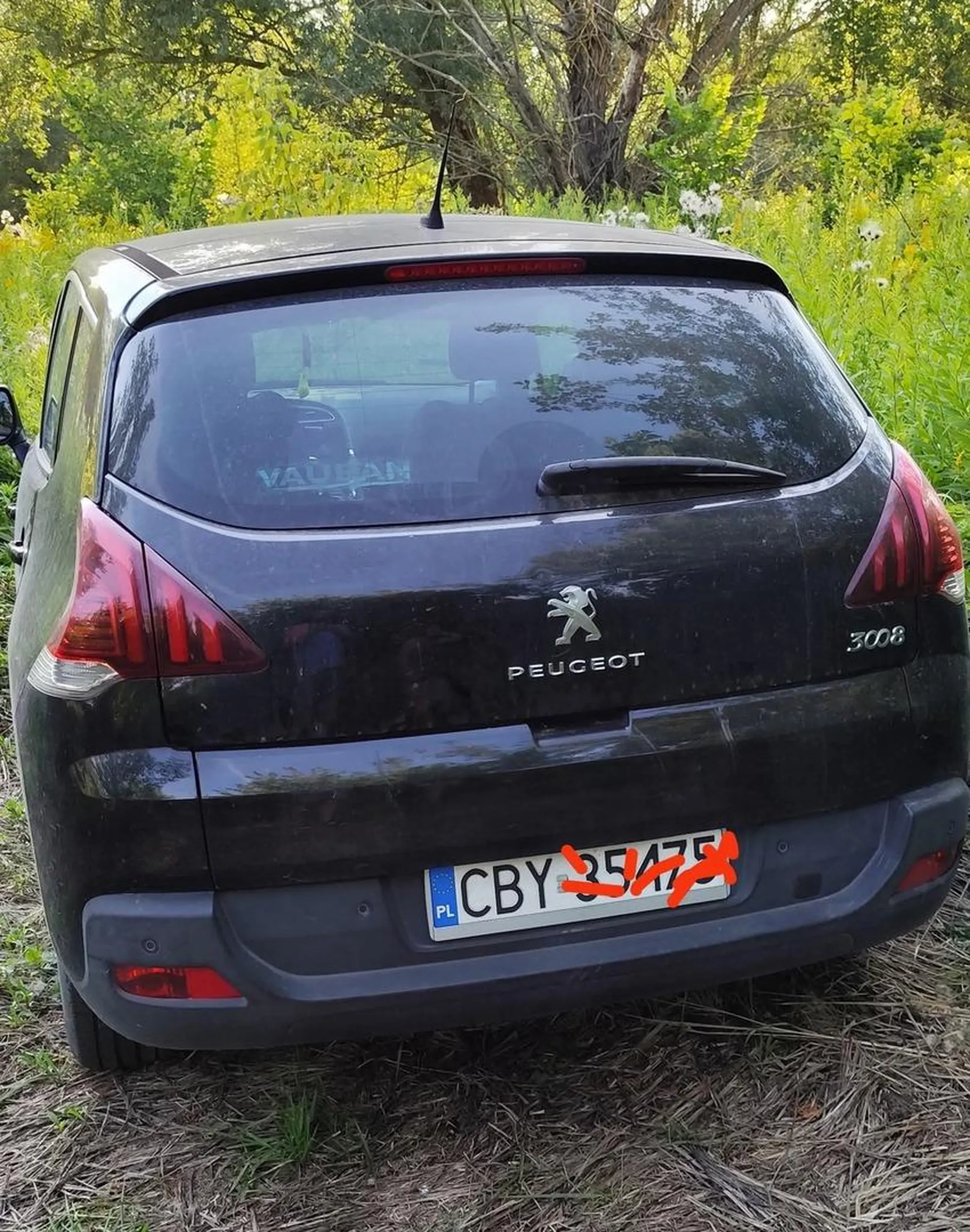 Brudas w czerniewice koło Torunia