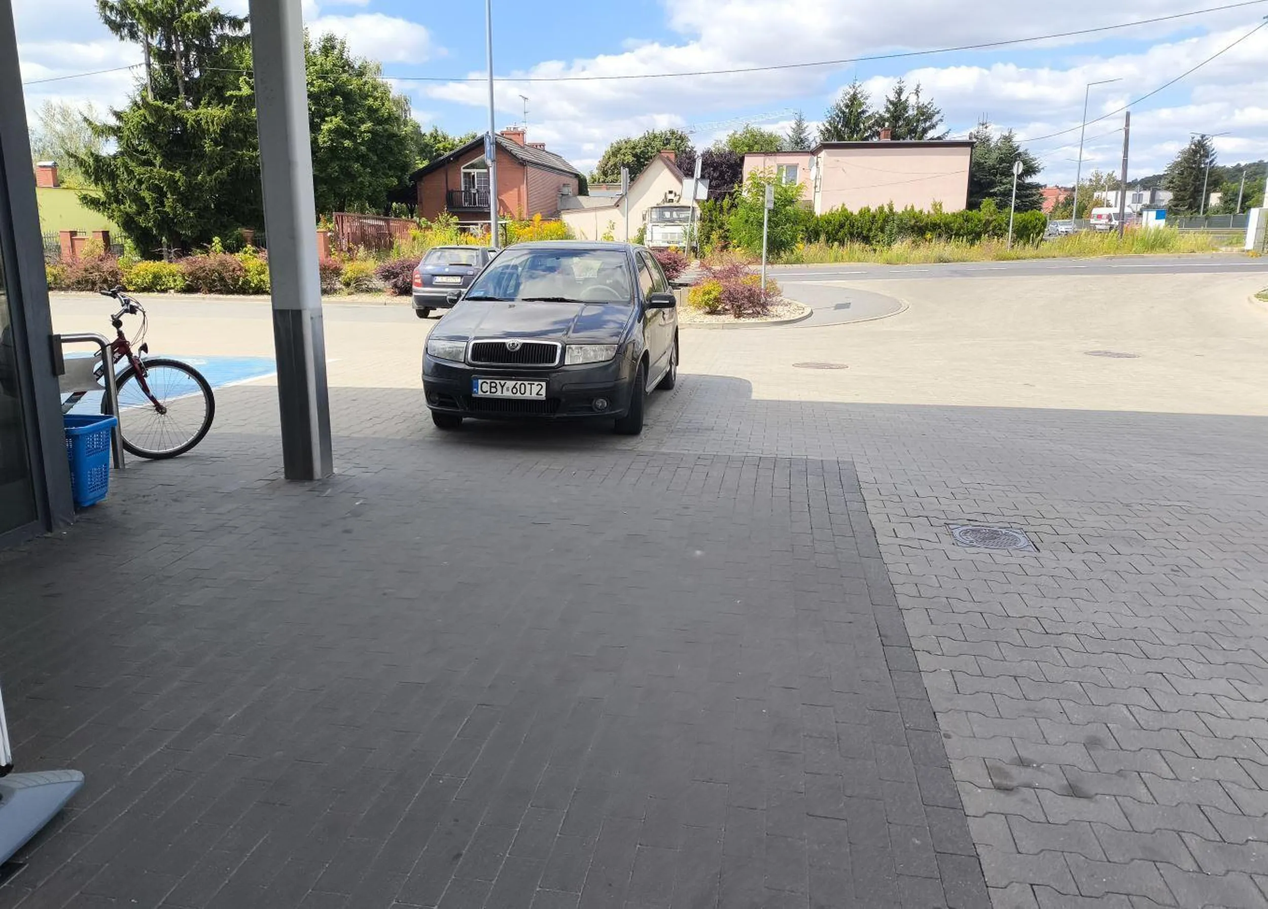 jak krowa zamiast na wyznaczonym miejscu