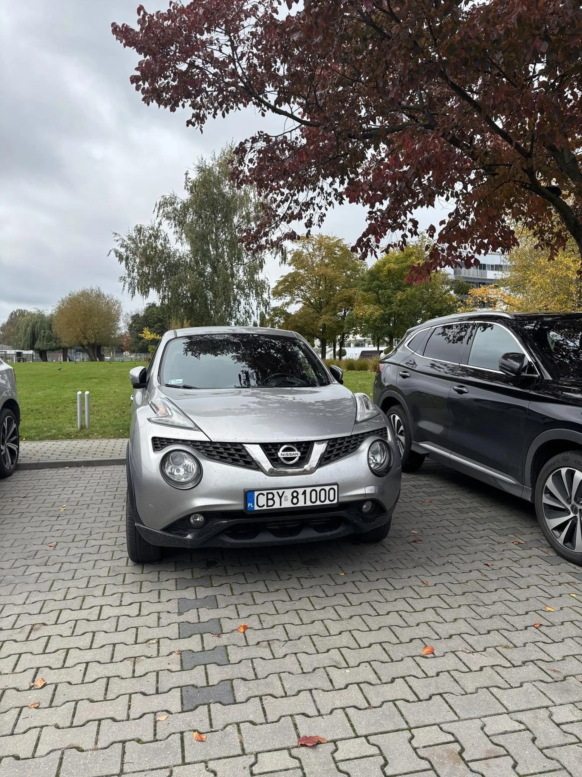 Patologia parkować jak ciota