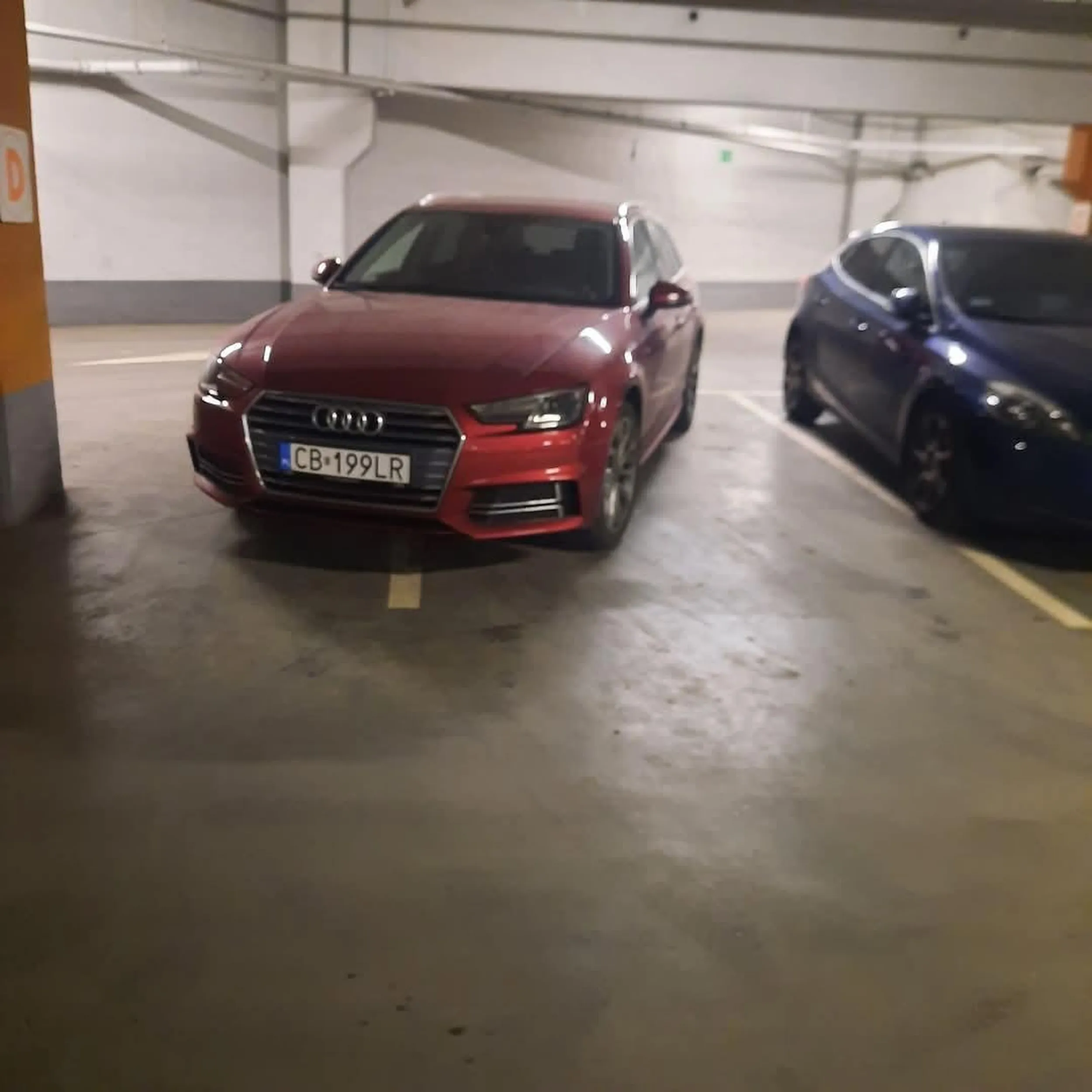 Buractwo pełną gębą