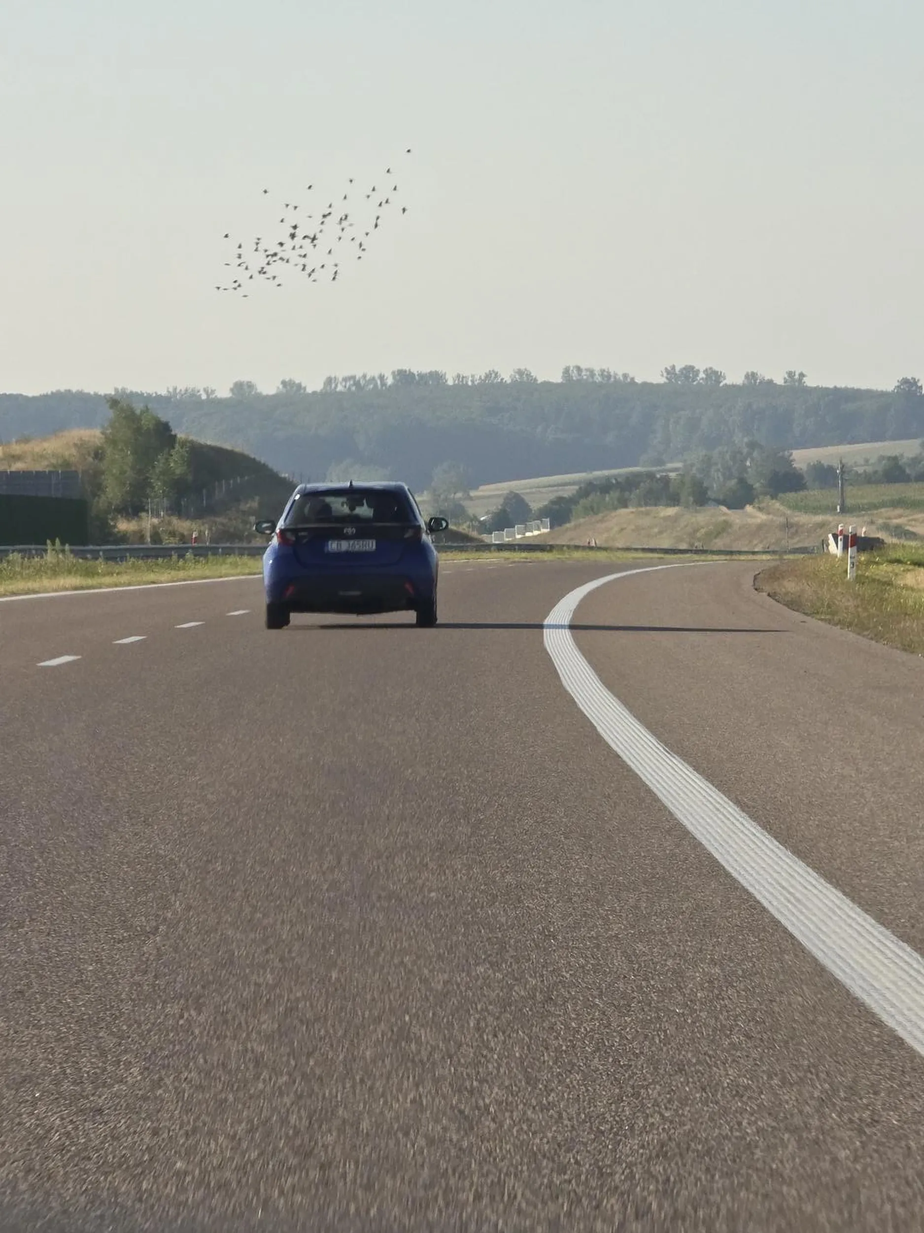 Jedzie autostradą - wyprzedza po czym zjeżdża na prawy pas i za chwilę zwalnia przez co ja, jadąc stałą prędkością muszę taką kalekę wyprzedzać. Za chwilę robi to samo i tak kilka razy. W końcu kończy się cierpliwość, przyspieszasz i wyprzedzasz taką amebę.