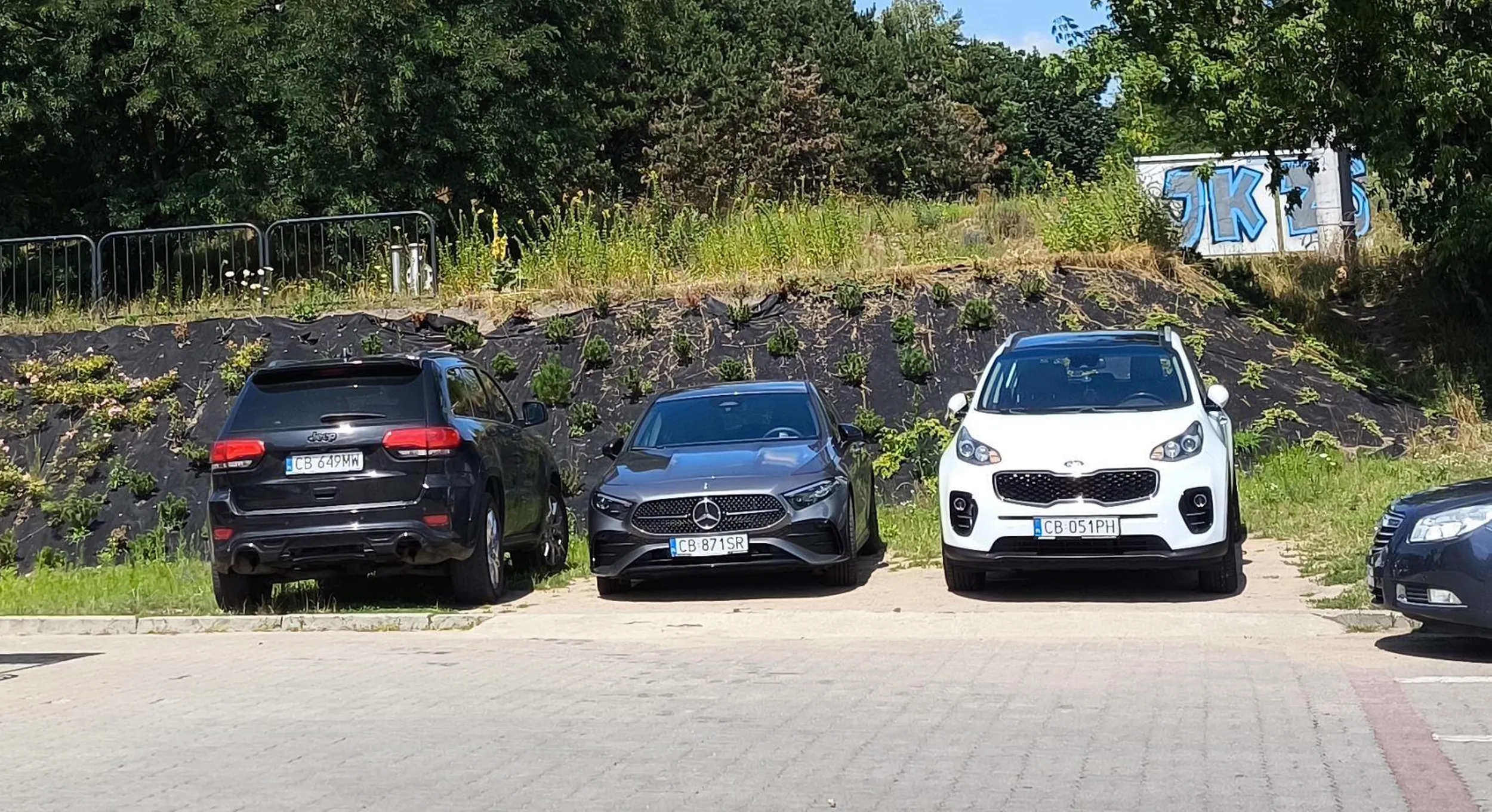 wyimaginował sobie dodatkowe miejsce parkingowe na trawce