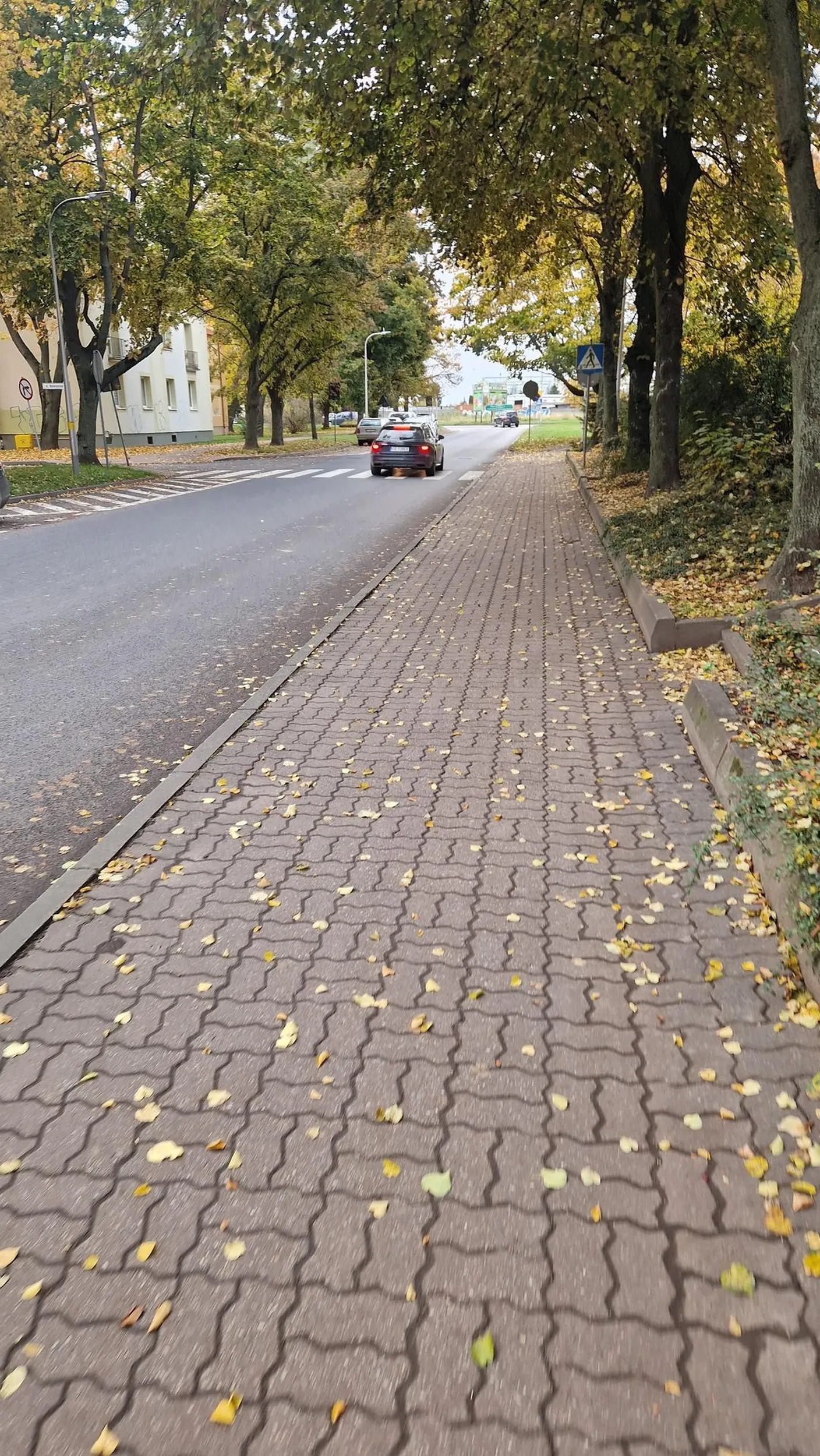 Śmieciarstwo i bezczelność,  pani zatrzymała się na pasach w jnk na ulicy głównej i zaczęła wyrzucać szklane butelki z samochodu pod blok