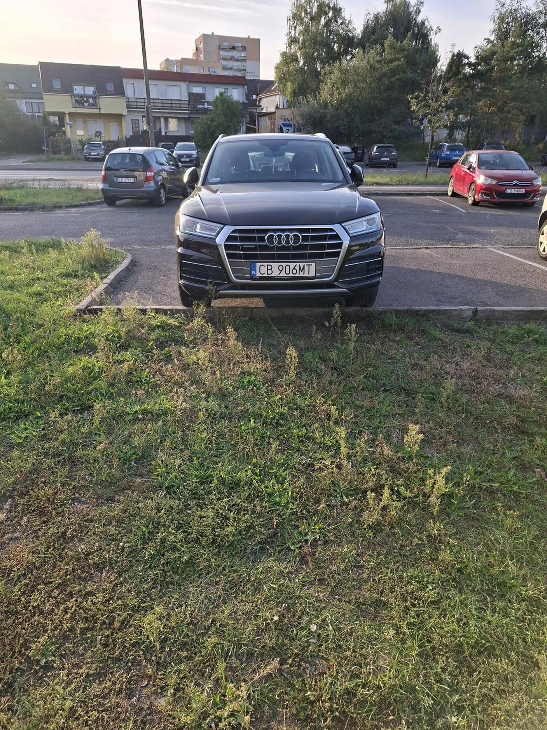 Prawko znalezione w chipsach...