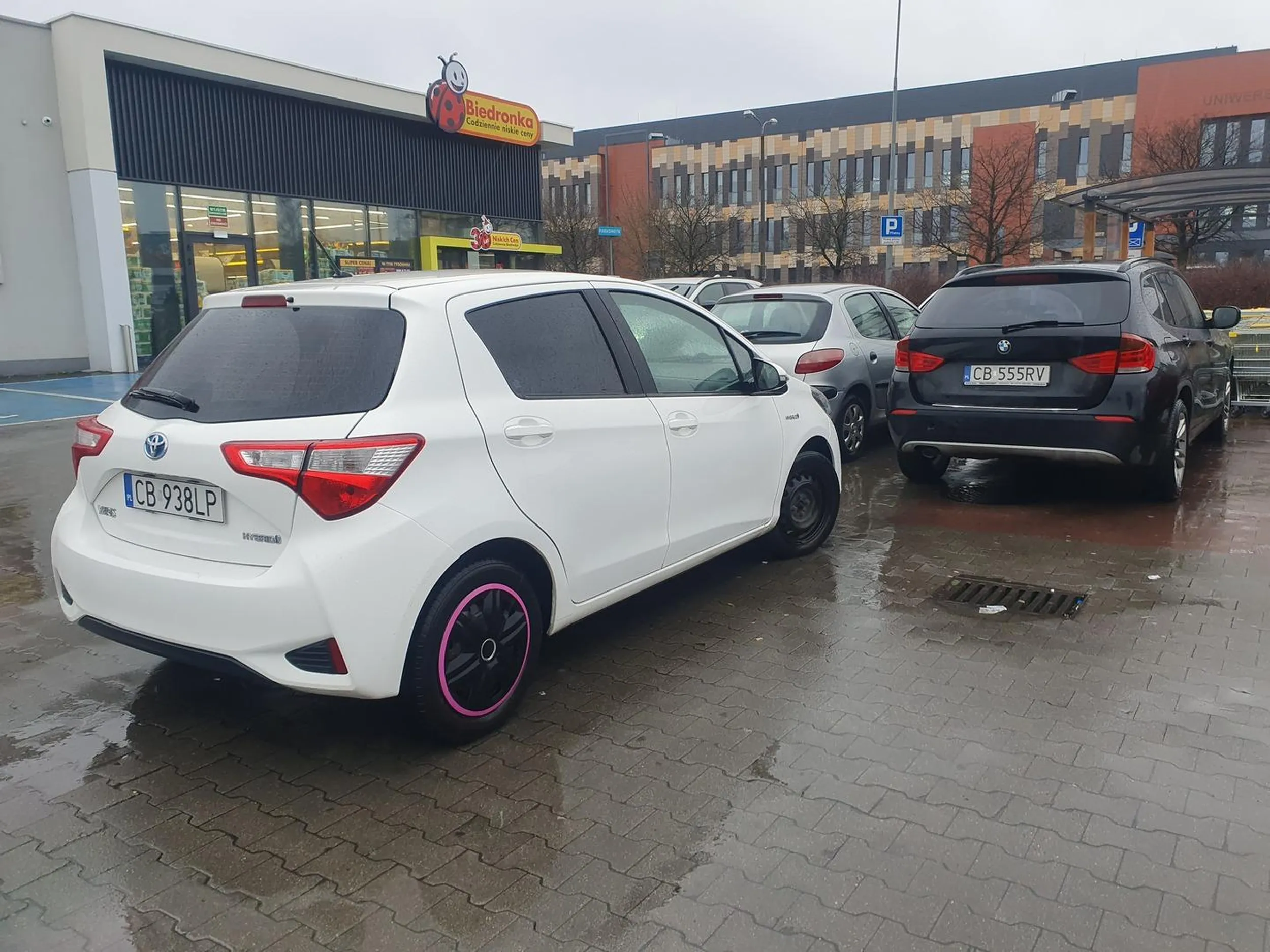 nie no gratuluje braku mózgu