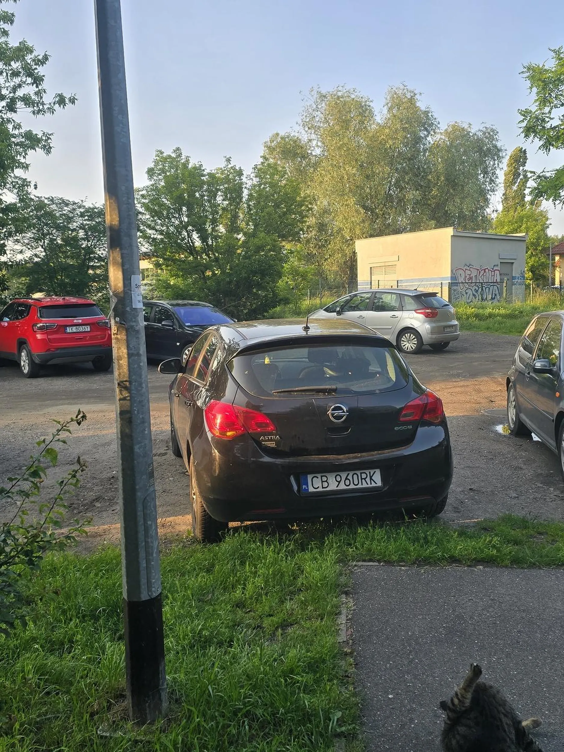 Parkuje pinda na dwóch miejscach.  Może źle ujęte zdjęcie, ale niestety nie raz się babie zdarzyło.