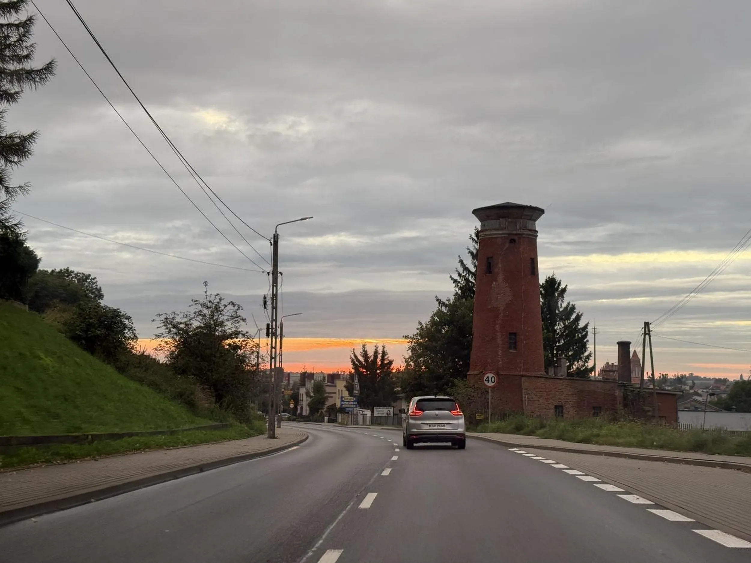 jak dzik w polu kukurydzy