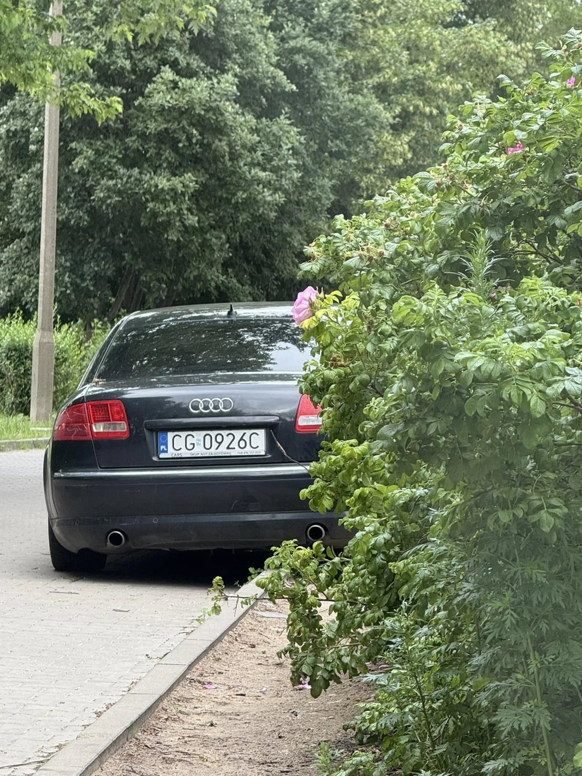 Zabierz samochód z żołnierskiej w olsztynie