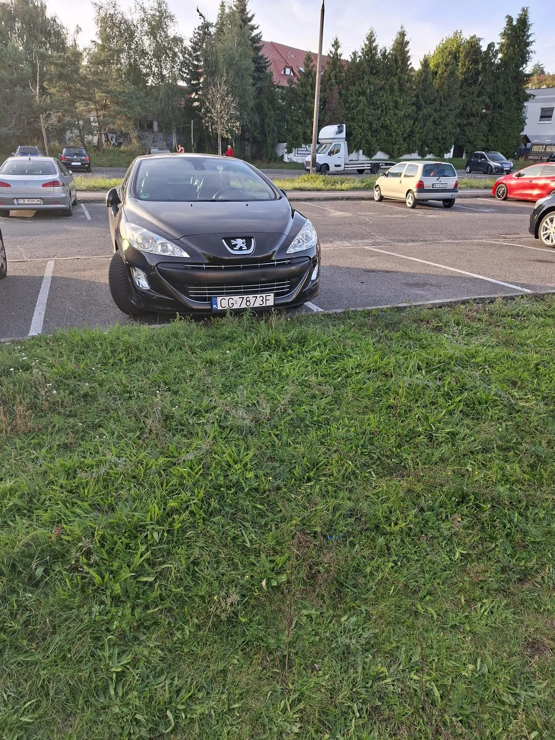 Kolejne prawko z chipsów