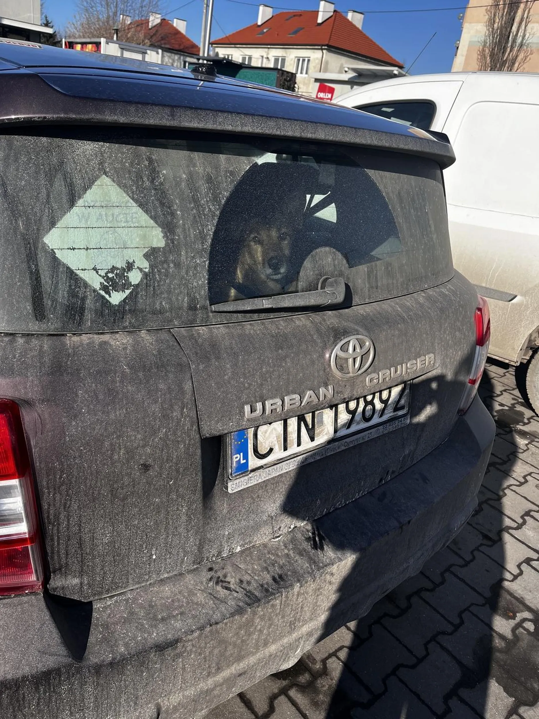 Kierowca zostawia psa w samochodzie Kto wie czy tego samego nie robi w lato