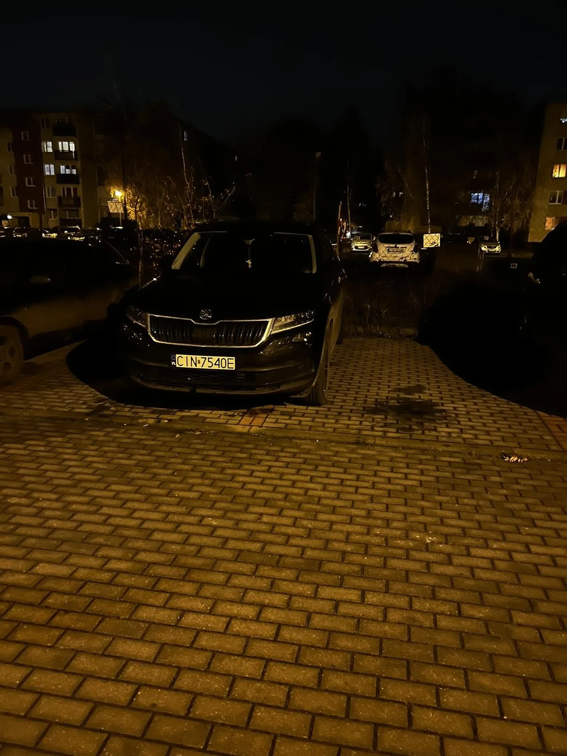 Naucz się parkować tą budą