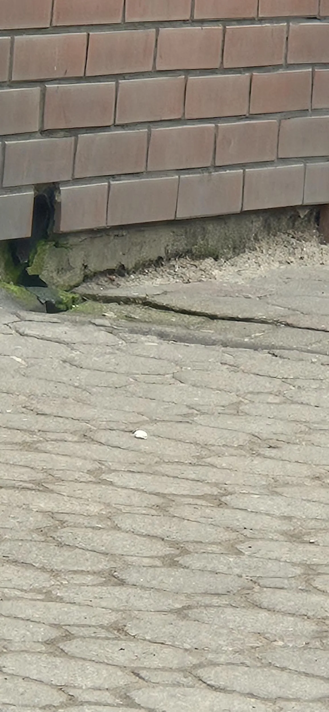 Pan z bmw stojąc w nakielskim korku, wypluł gumę na chodnik, prosto pod nogi starszej pani! Naucz się kultury łysa głowo!!