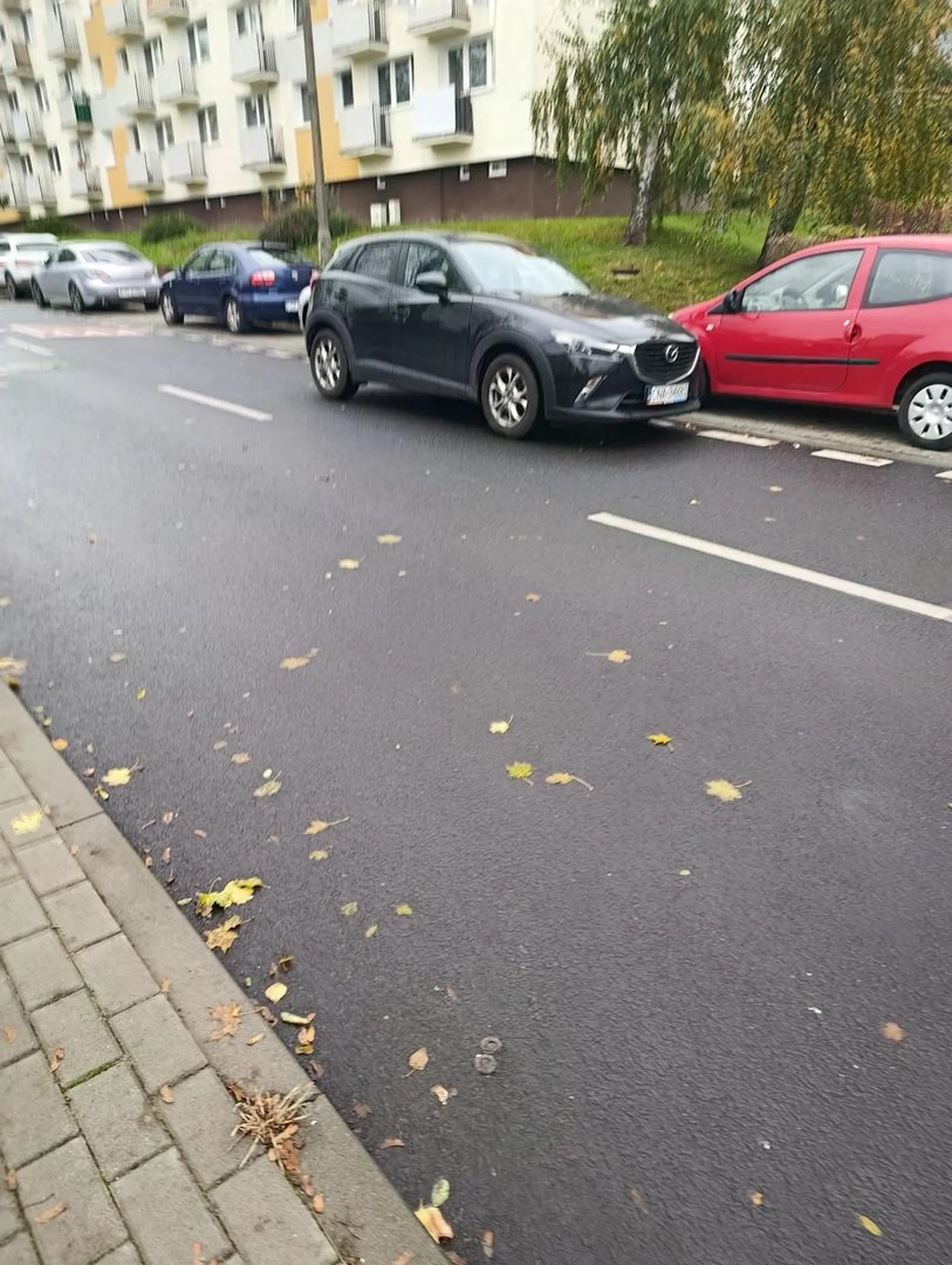 brawo  zastawiłeś czyjeś auto i se robisz parking na drodze