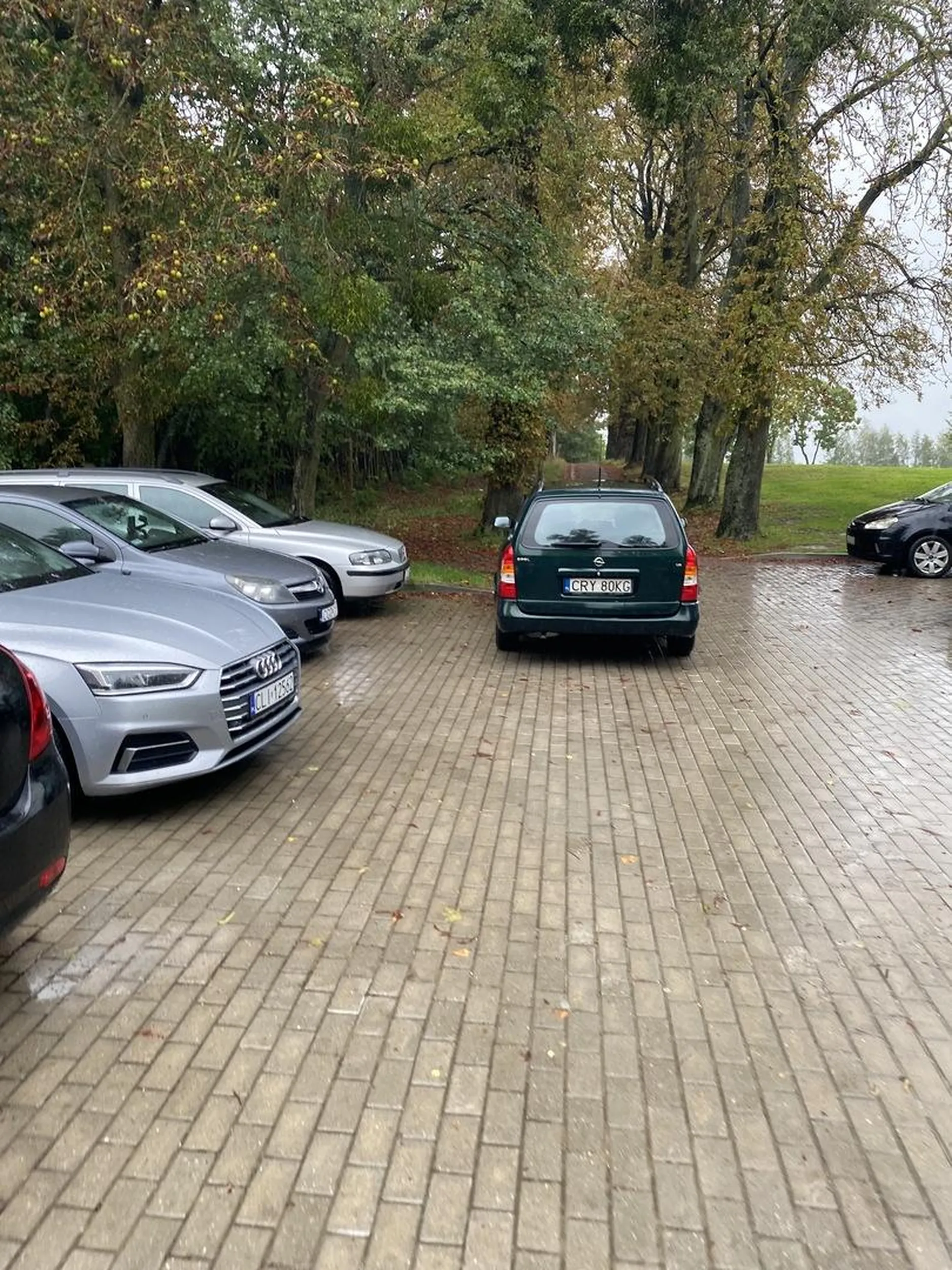Pozdrawiam serdecznie mistrza parkowania na parkingu szkoły