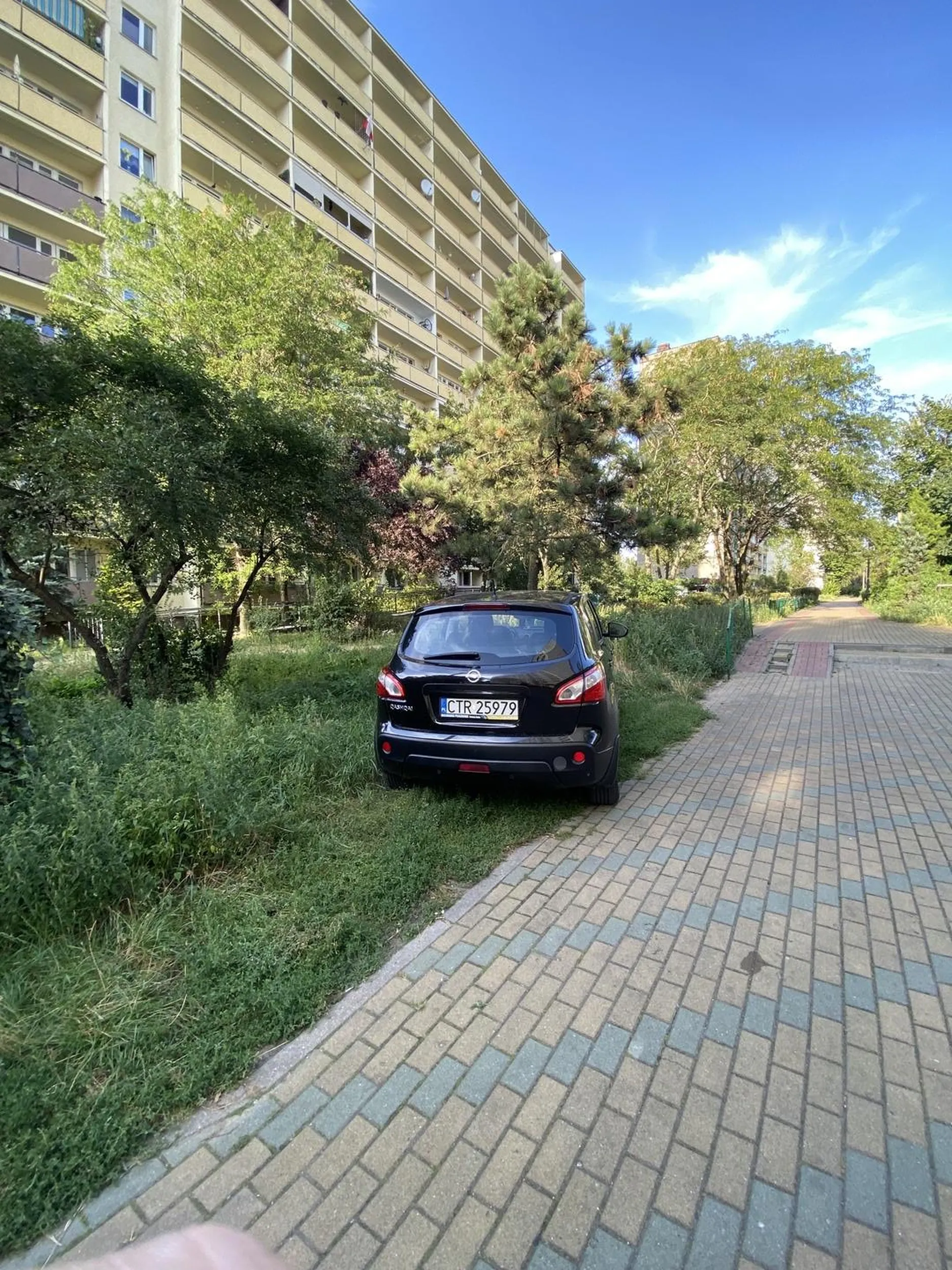 We wiosce mozesz parkować na swoim polu tutaj na trawie sie nie parkuje