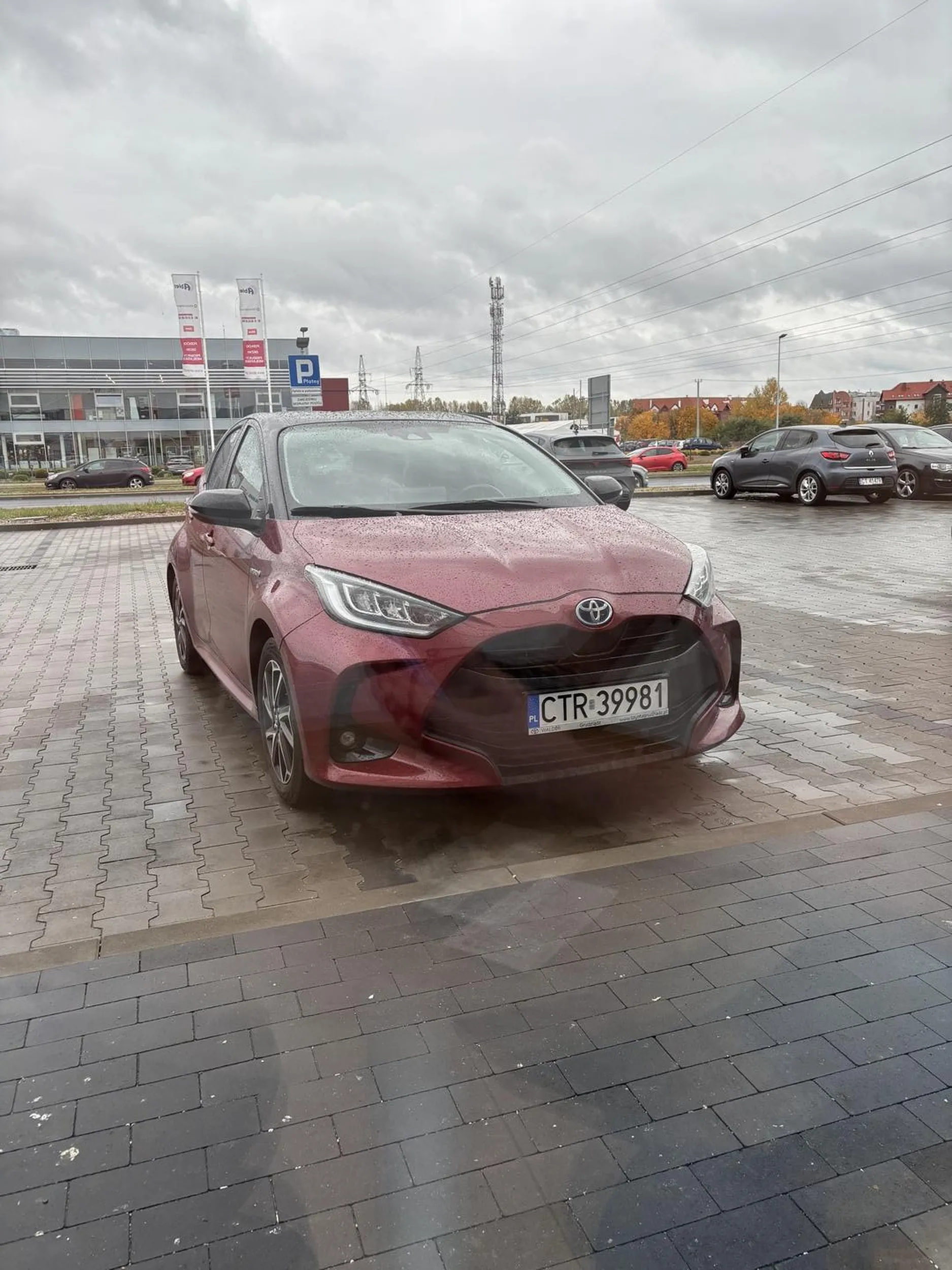 Zalecam nauke parkowania