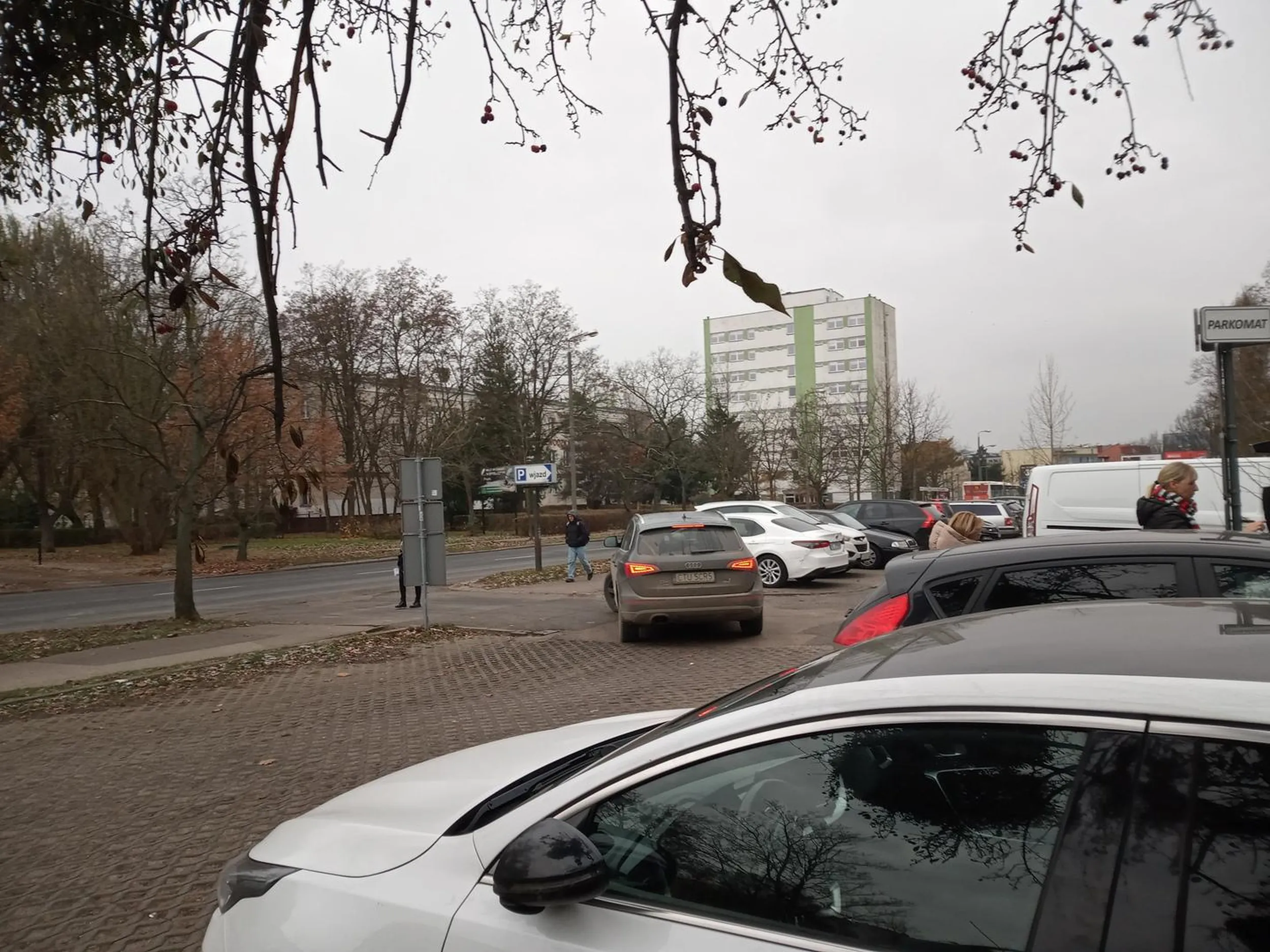 Oferuję usługi dla panów na parkingach