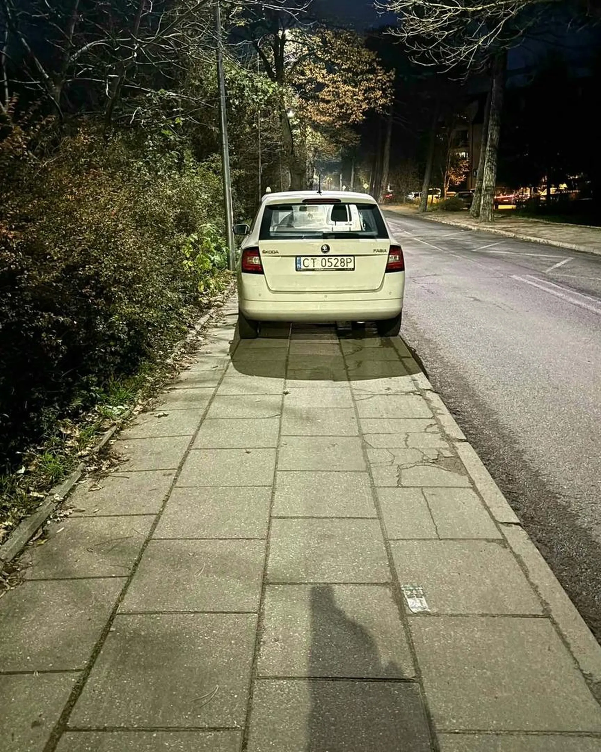 burak zastawił cały chodnik