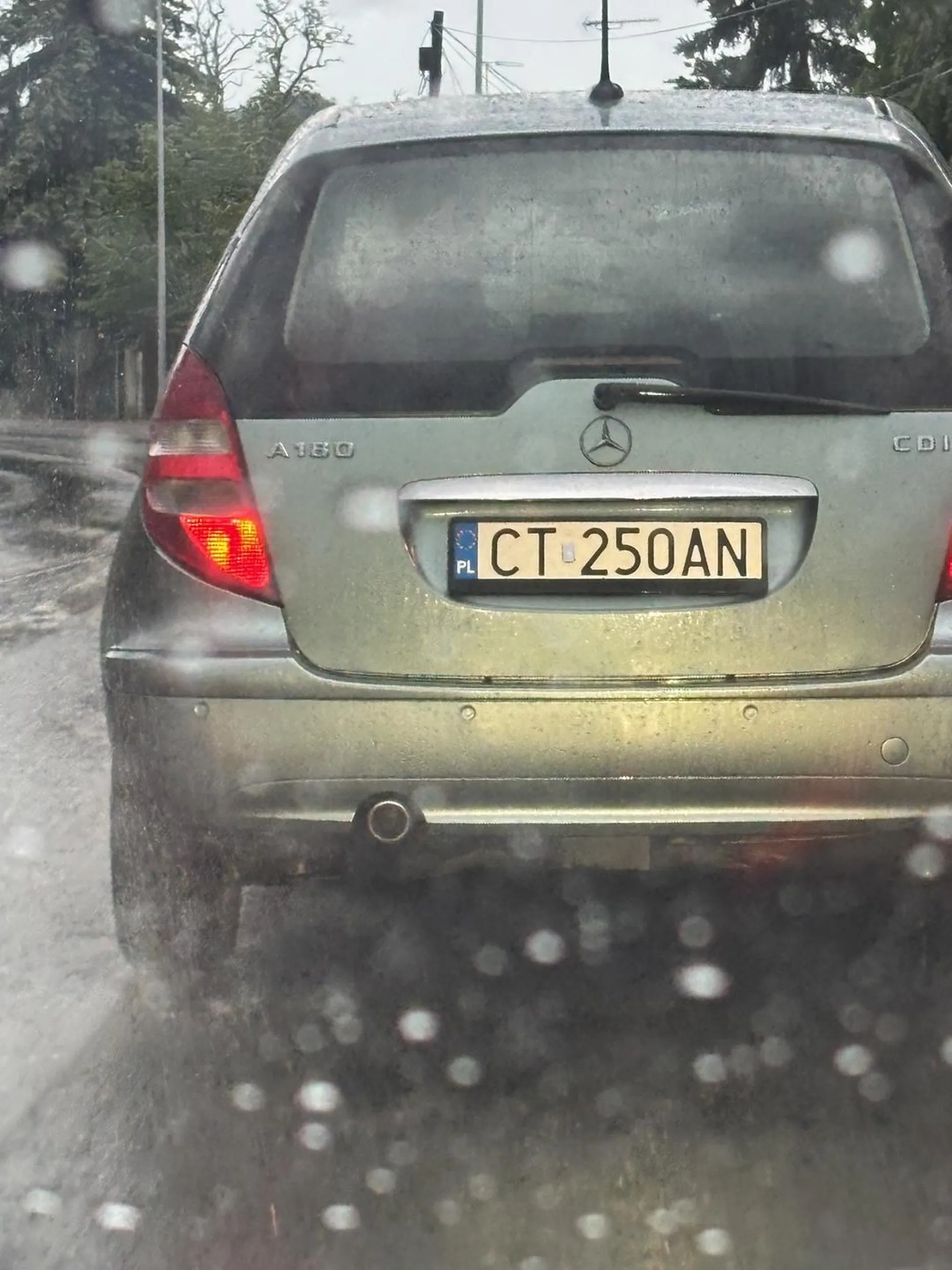 Kierowca potrącił psa i uciekł z miejsca zdarzenia. Zgłaszać faceta bo może komuś krzywdę zrobić