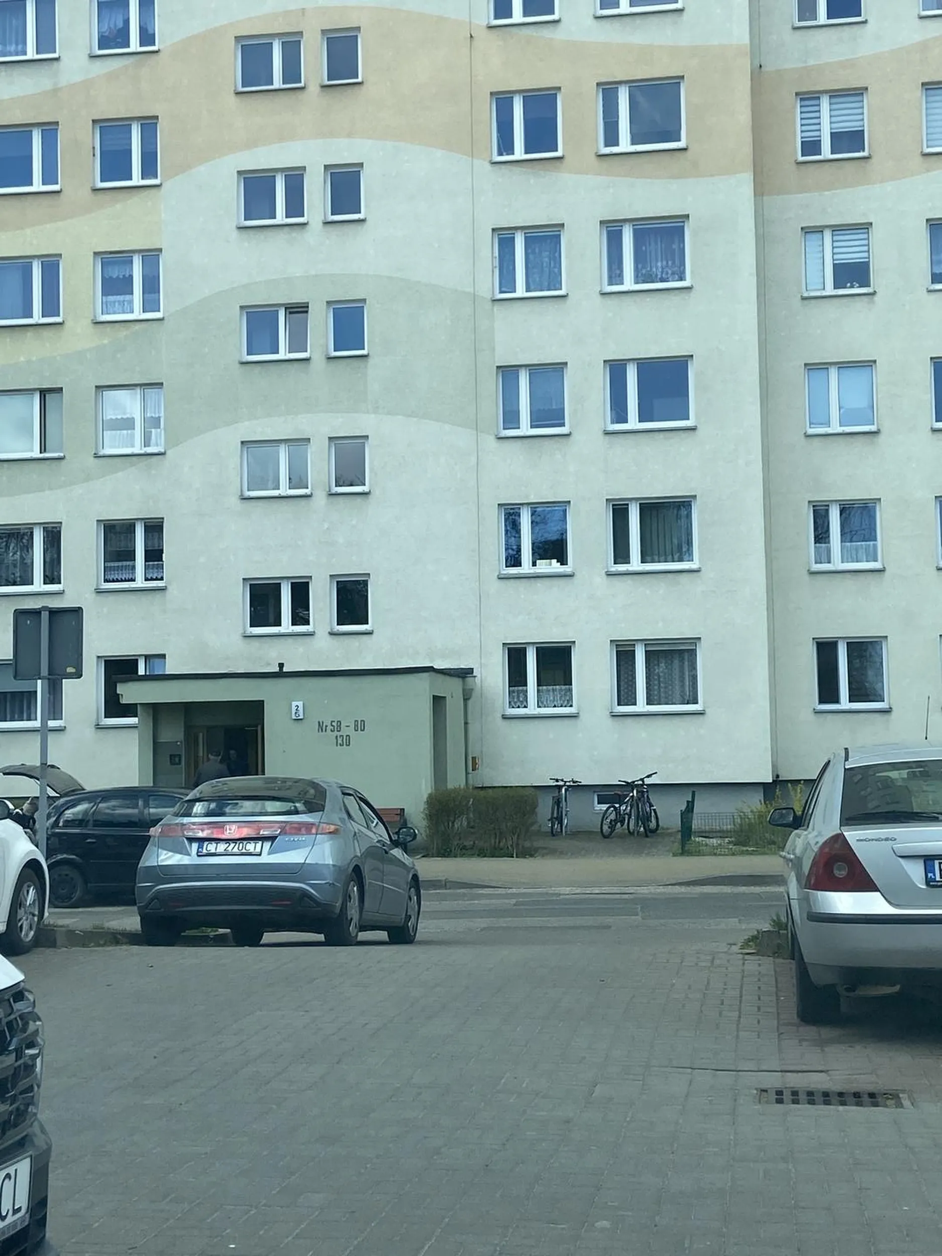 Naucz się parkować łosiu