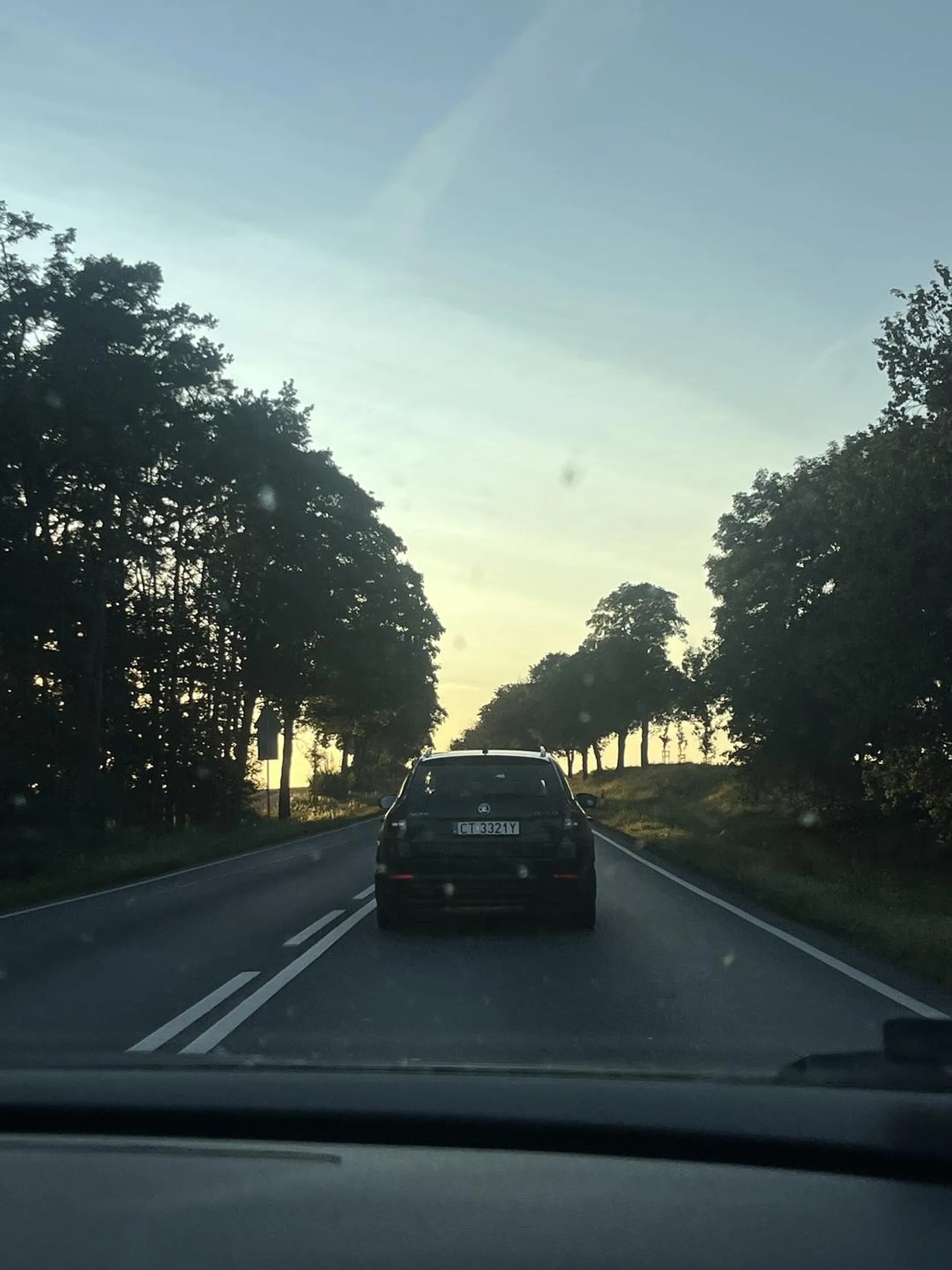 Kierowca w lesie wyprzedza na trzeciego spychając innych z drogi, mógł spowodować wypadek czołowy z ciężarówką.