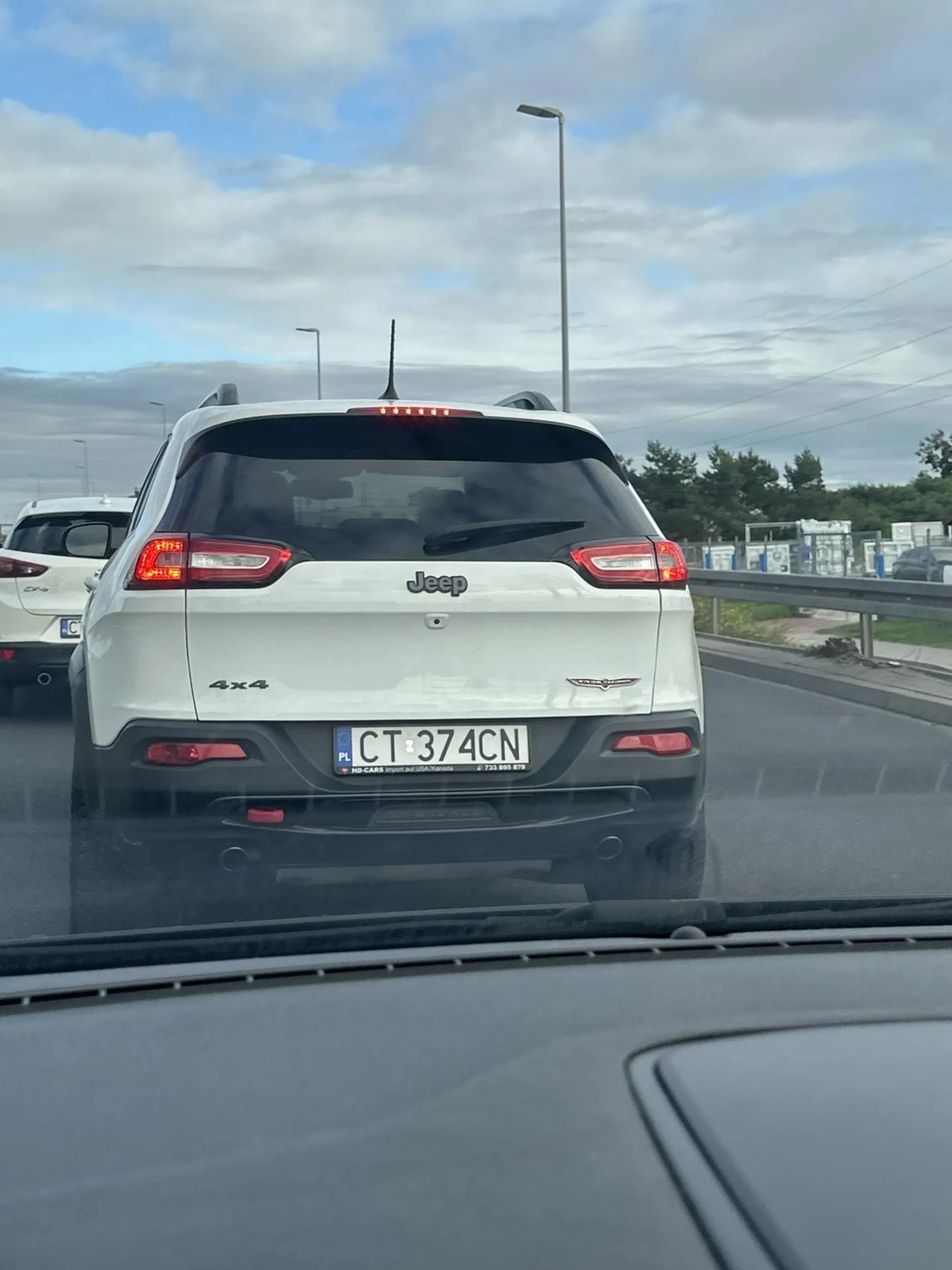 Jebal pies tą kurwe za kierownicą próbuje wymuszać wypadki