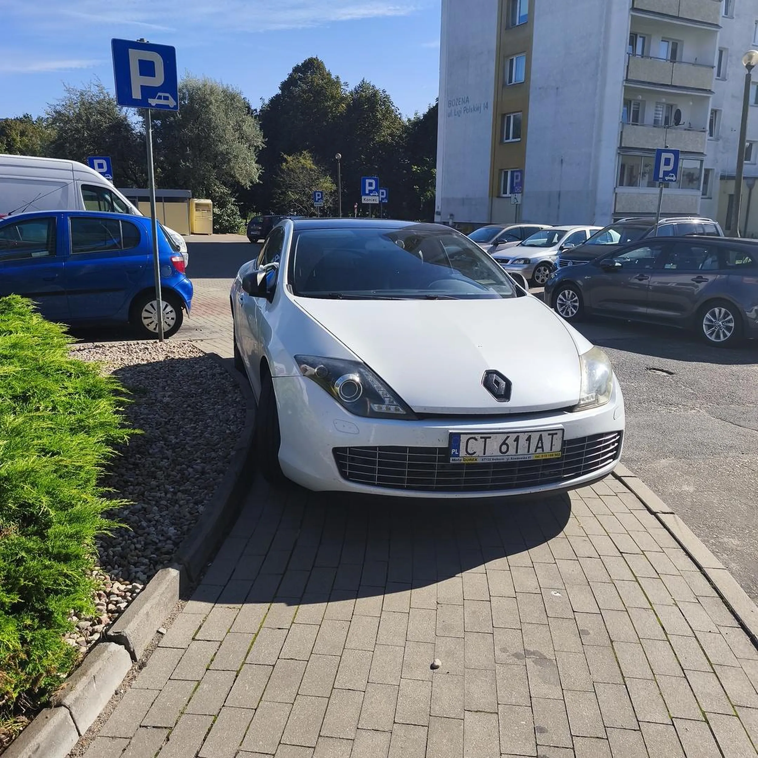 Mistrz i władca chodnika