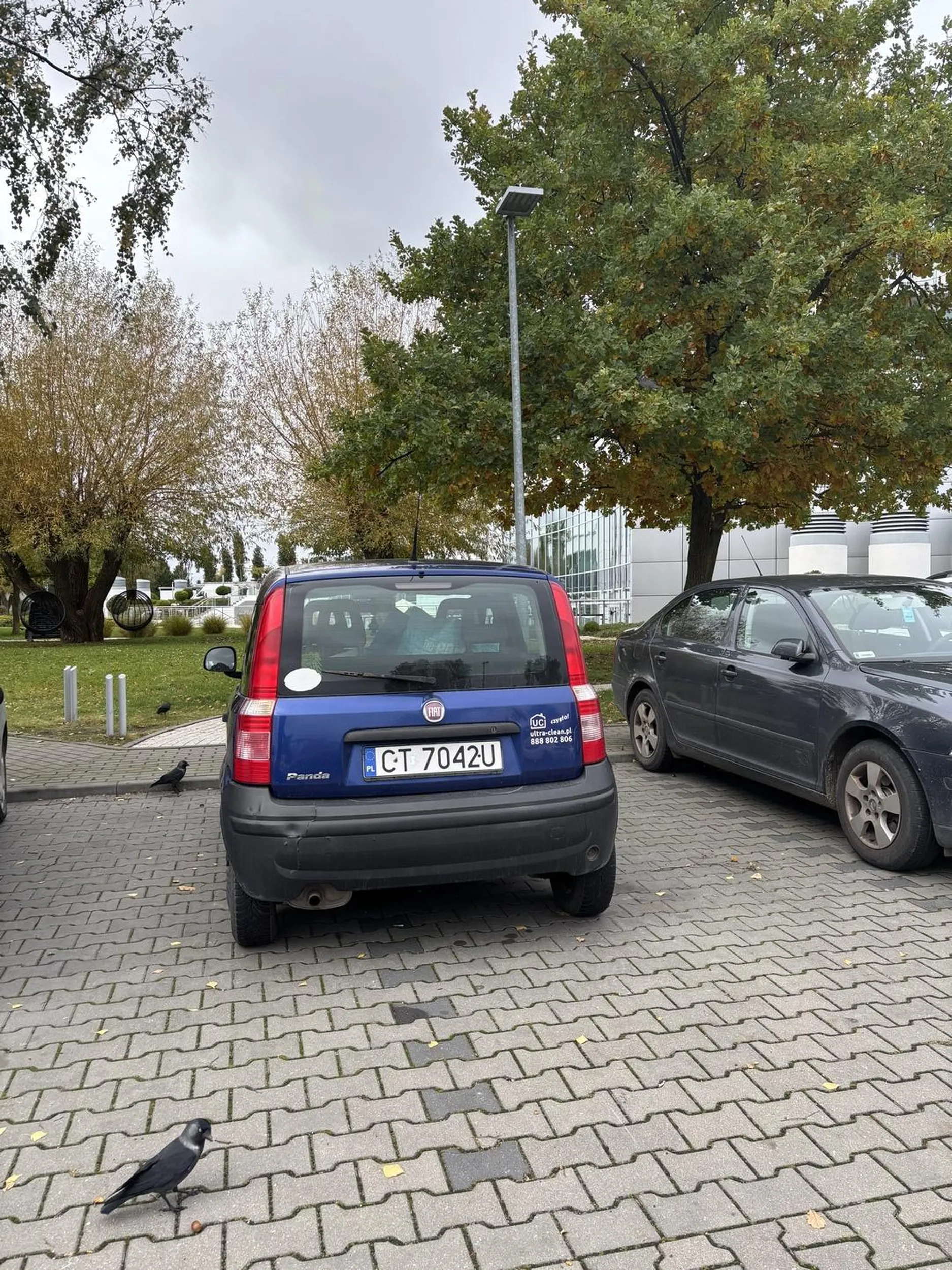 Sierota Boska potrzebuje dwóch miejsc