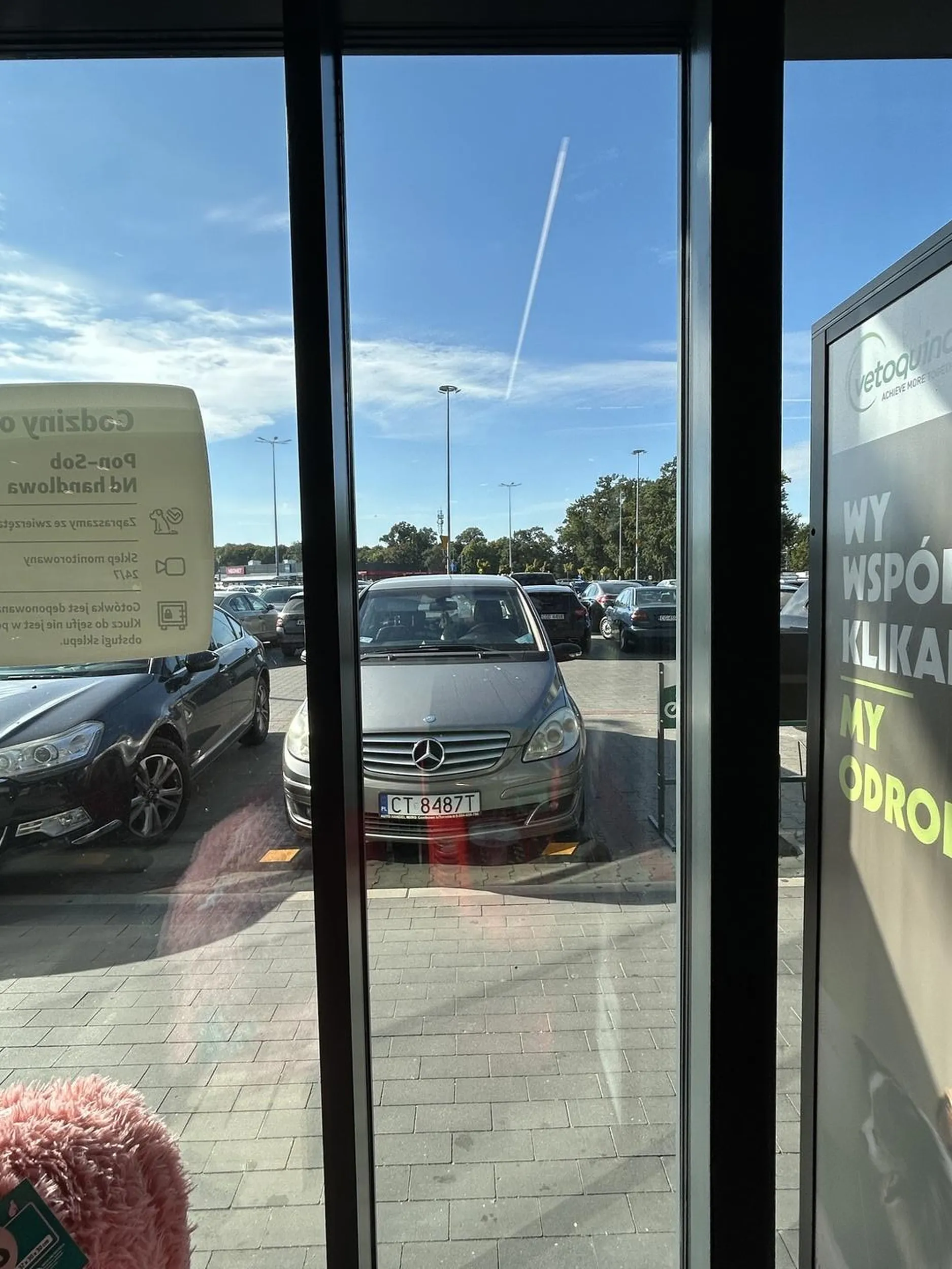 Pani kierująca zostawiła sobie na godzinę dwa psy a aucie. Dwa psy z krótkim pyskiem, które łatwiej się przegrzewają na słońcu, bez otwartych szyb. Godzinę ich nie było. Mega super!