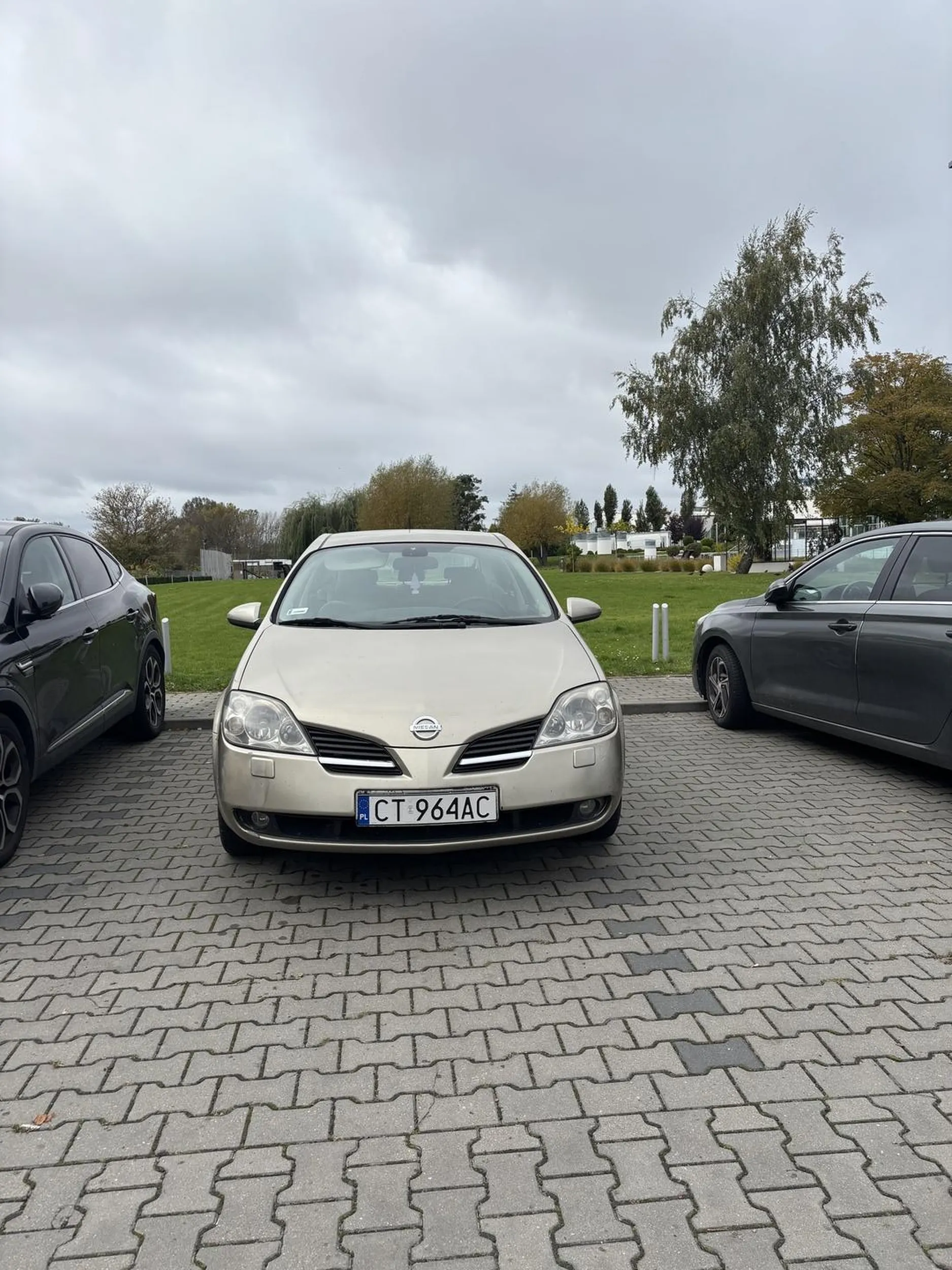 Ciężko było zaparkować w liniach