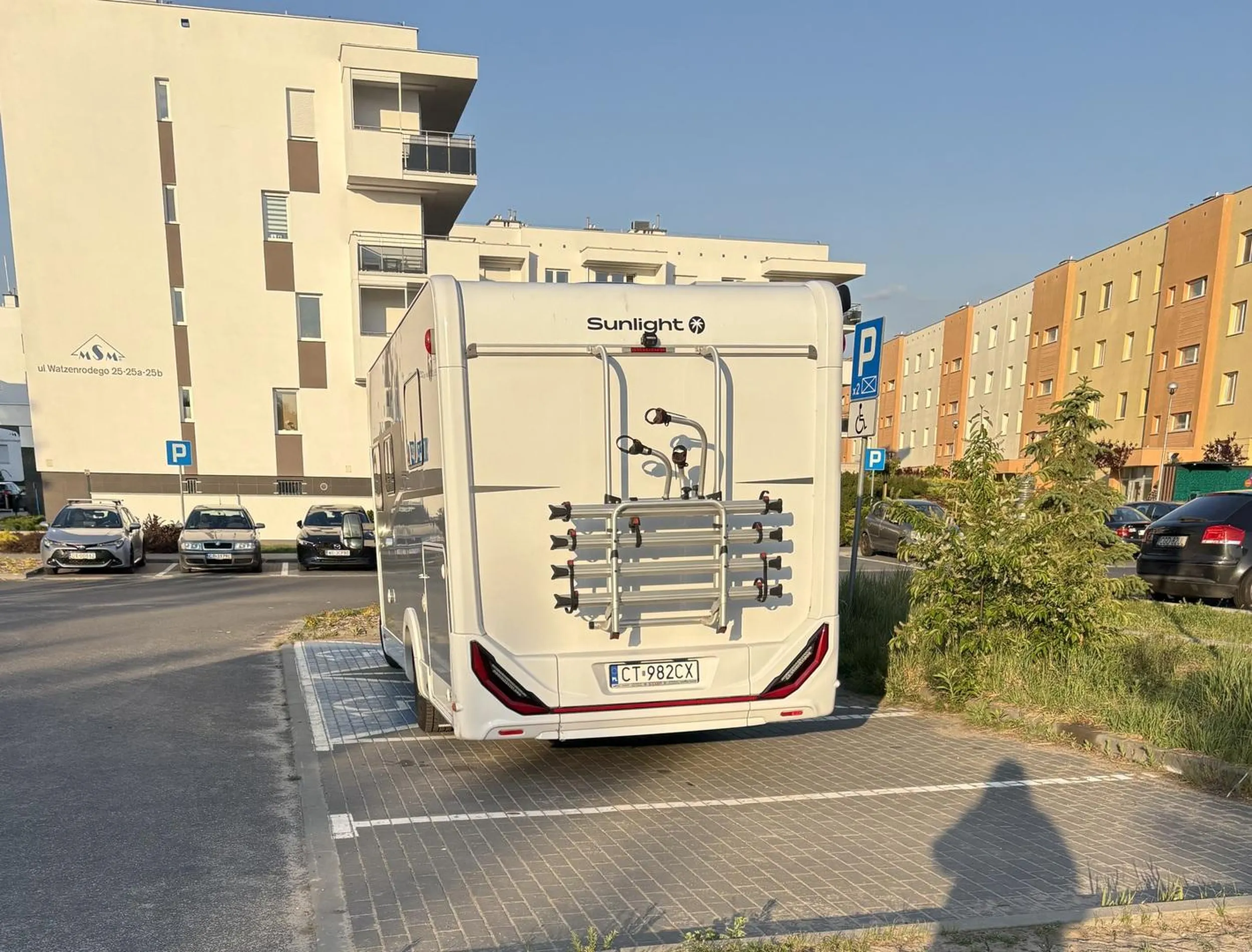 niepełnosprawność umysłowa?