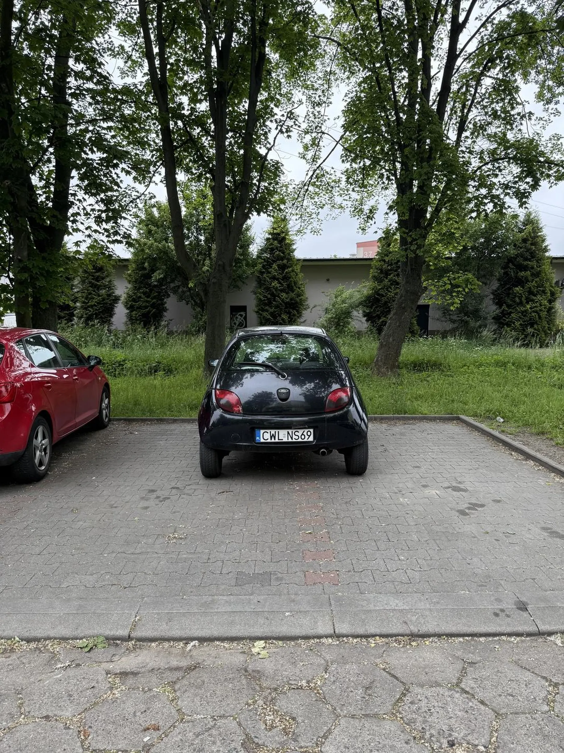 Nauczysz się w końcu parkować? Małe auto a ciągle zajmujesz więcej niż jedno miejsce. Tym razem już dwa. PRZESADA