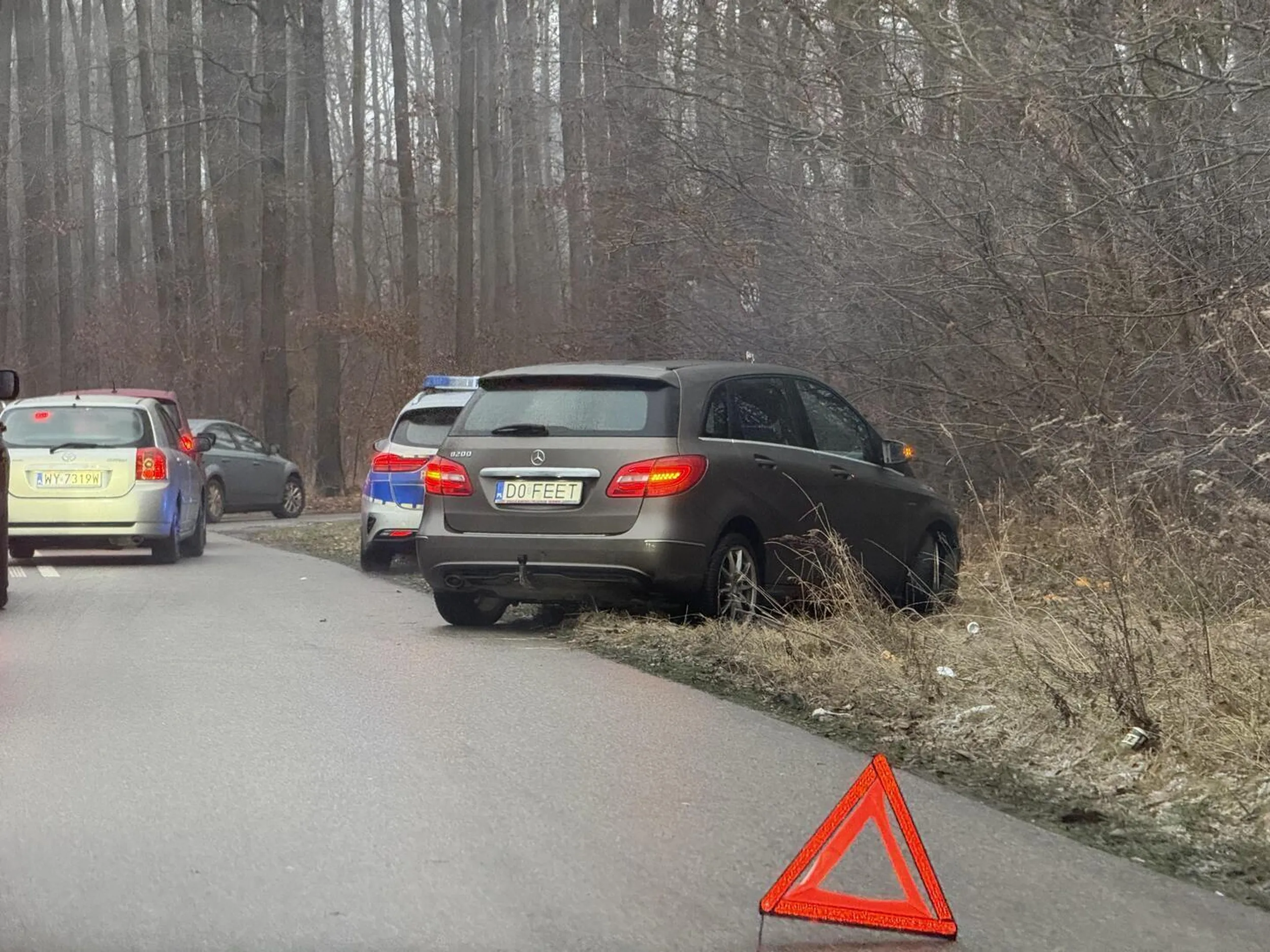 Kierowca zrobił korek jak stąd do Toronto. Nie umie jeździć w gorszych warunkach. Nie polecam tego allegrowicza