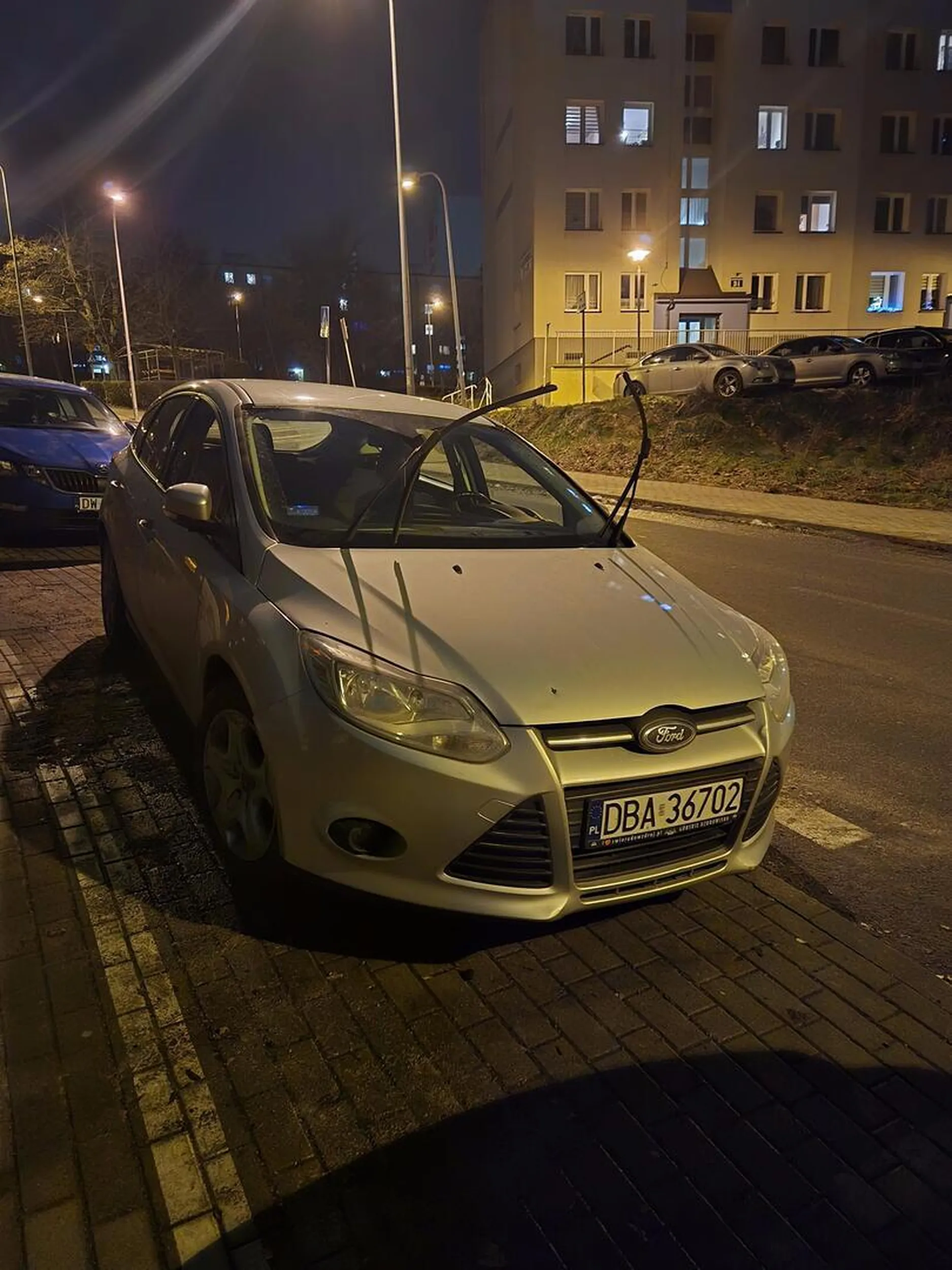 staje zastawiając drogę pożarową