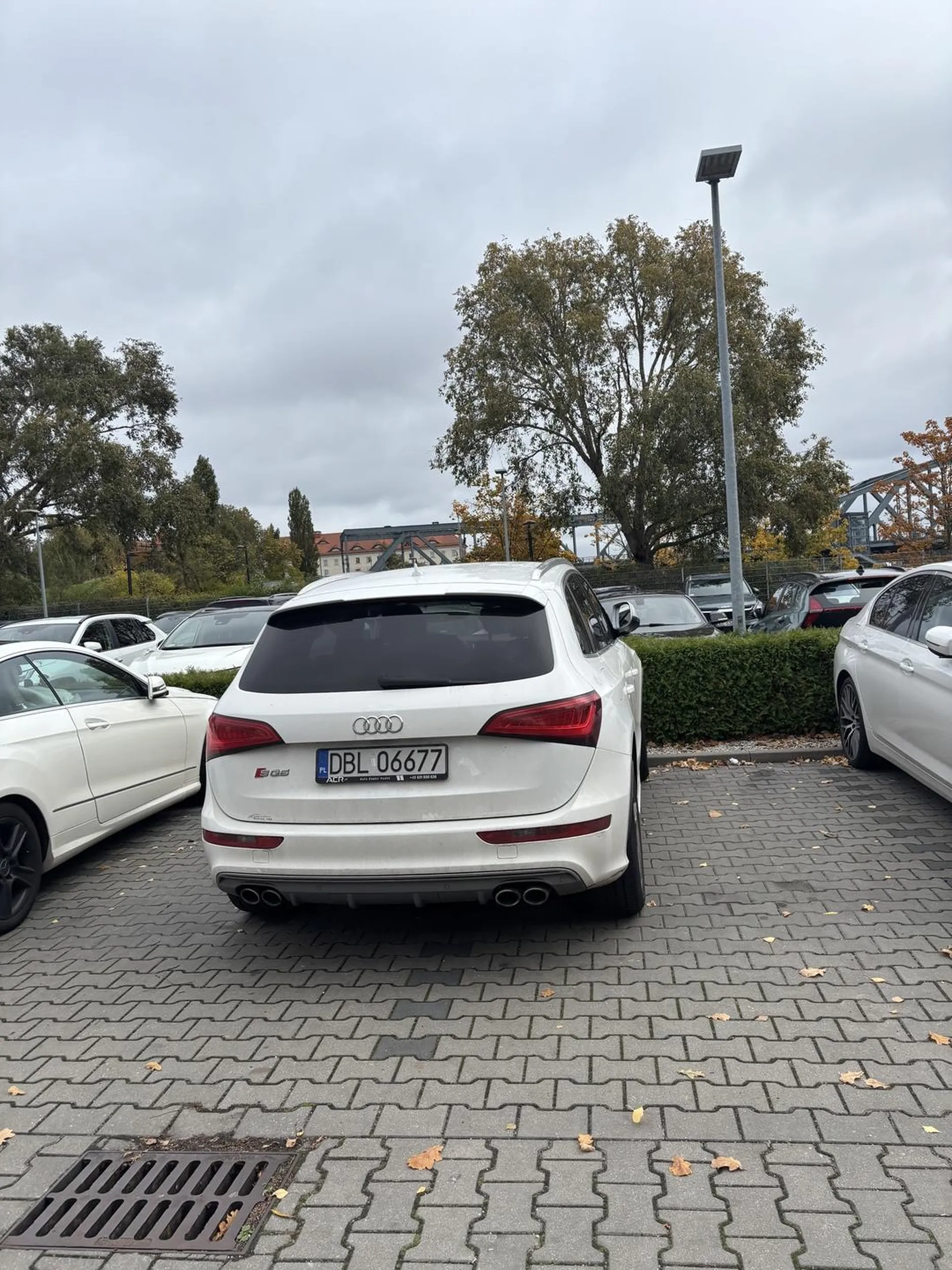 Zalecam naukę parkowania, bo parkujesz jak młot