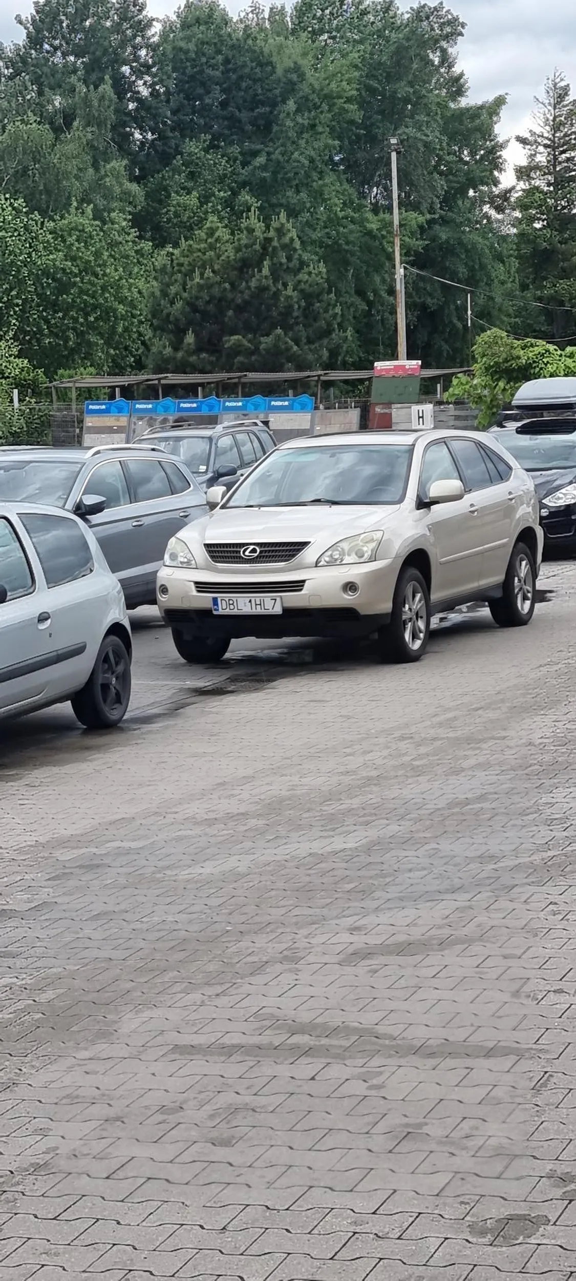 Jedyna osoba ma parkingu która nie mieści się na parkingu. Auto na tyle wystaje że auta z naprzeciwka muszą puszczać auta żeby się zmieścić