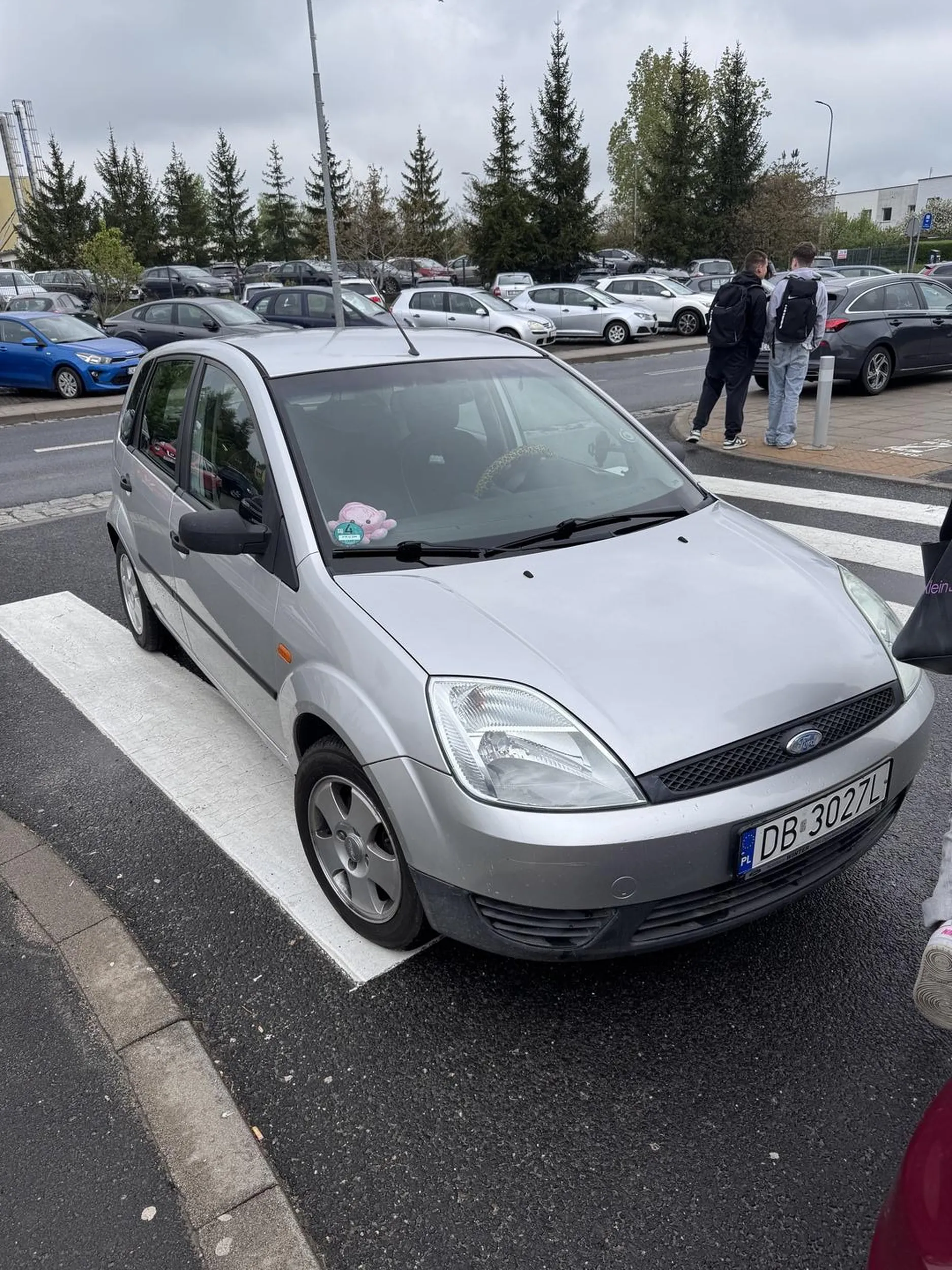 Co to za młot, parkuje na pasach, chyba jakaś puszysta dama, a jeszcze jaka pyskata, wstyd