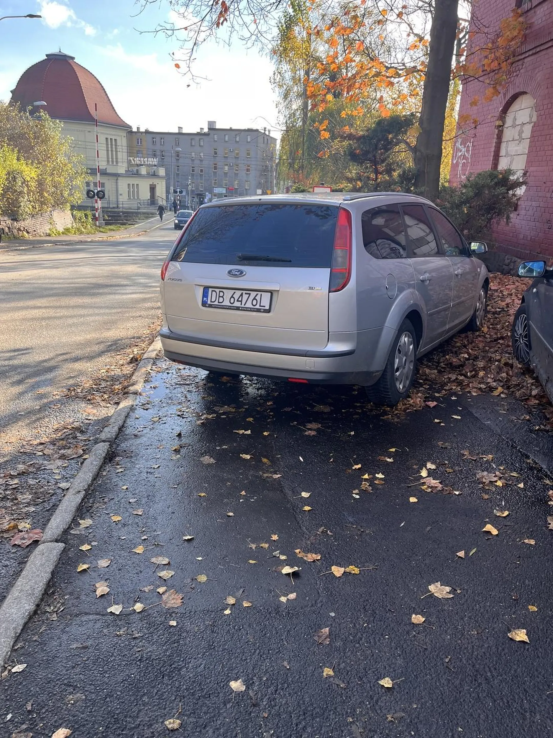 Właściciel parkuje jak skończony jełop.
