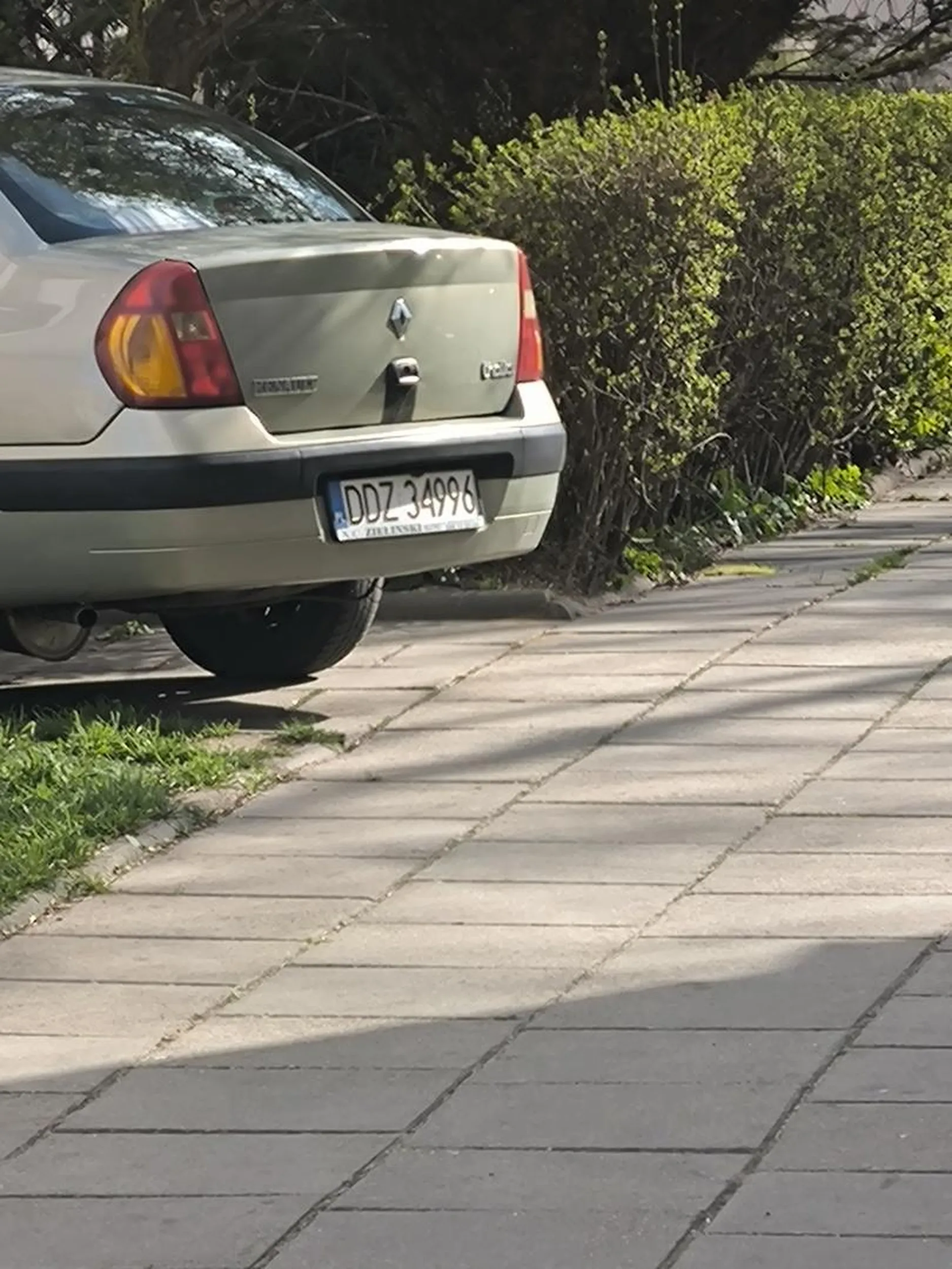 Dostawa Glowo to wszystko można