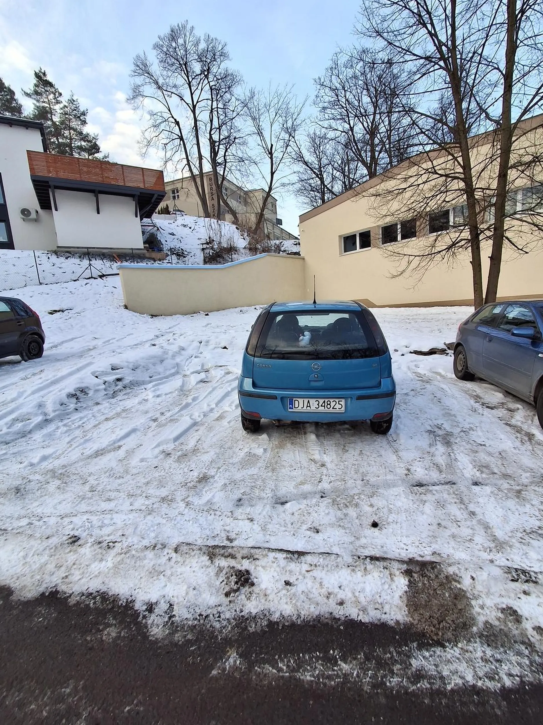 Proszę naucz się parkować.