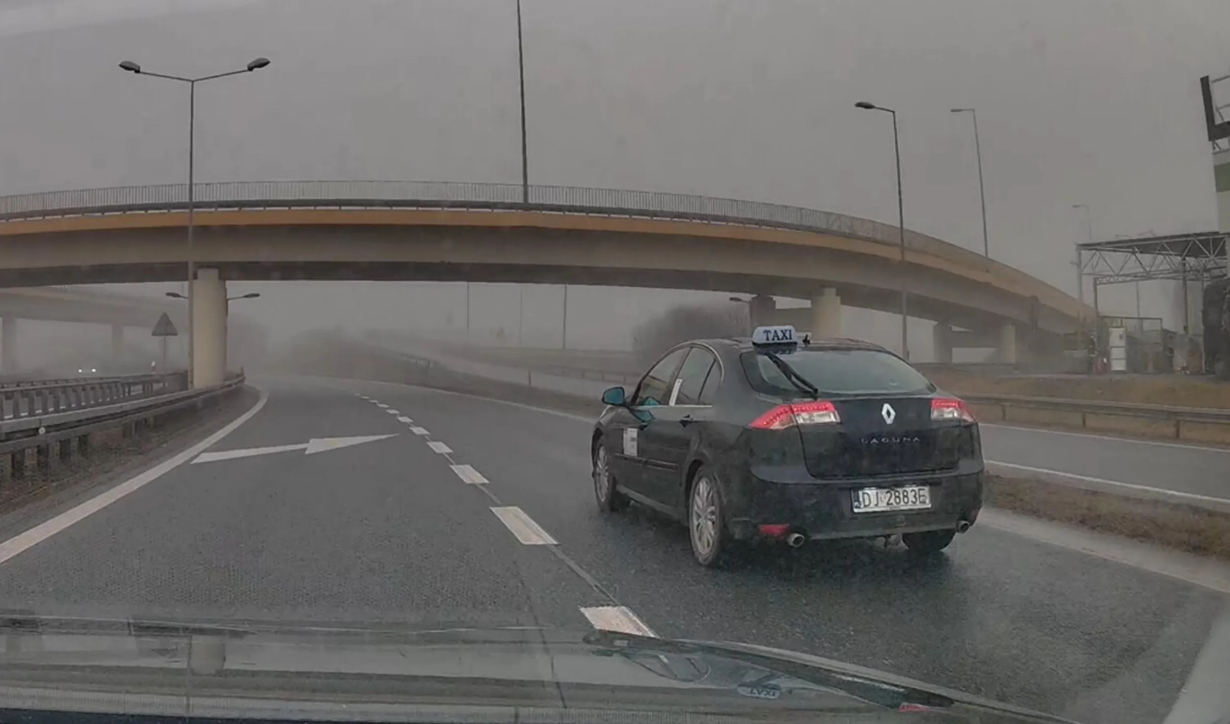 gamoń omija korek na autostradzie poboczem