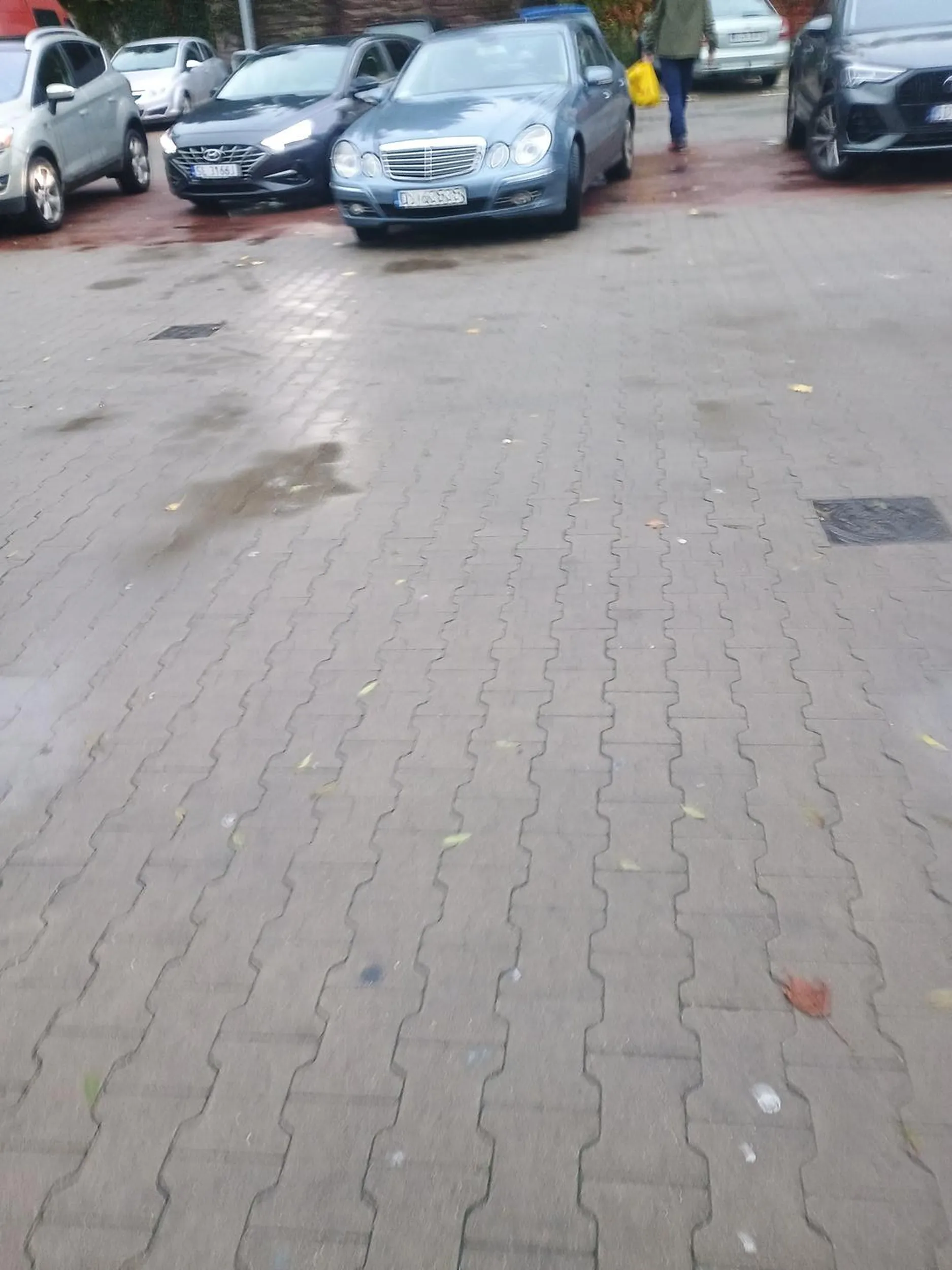 Proponuję się cofnąć na kurs bo parkowanie prosto przodem nie jest wy granicach tolerancji. Sprzedaj dziadzie samochód i se kup kurs bo jeździsz jak peda* Biedronka ul Sudecka Jelenia Góra