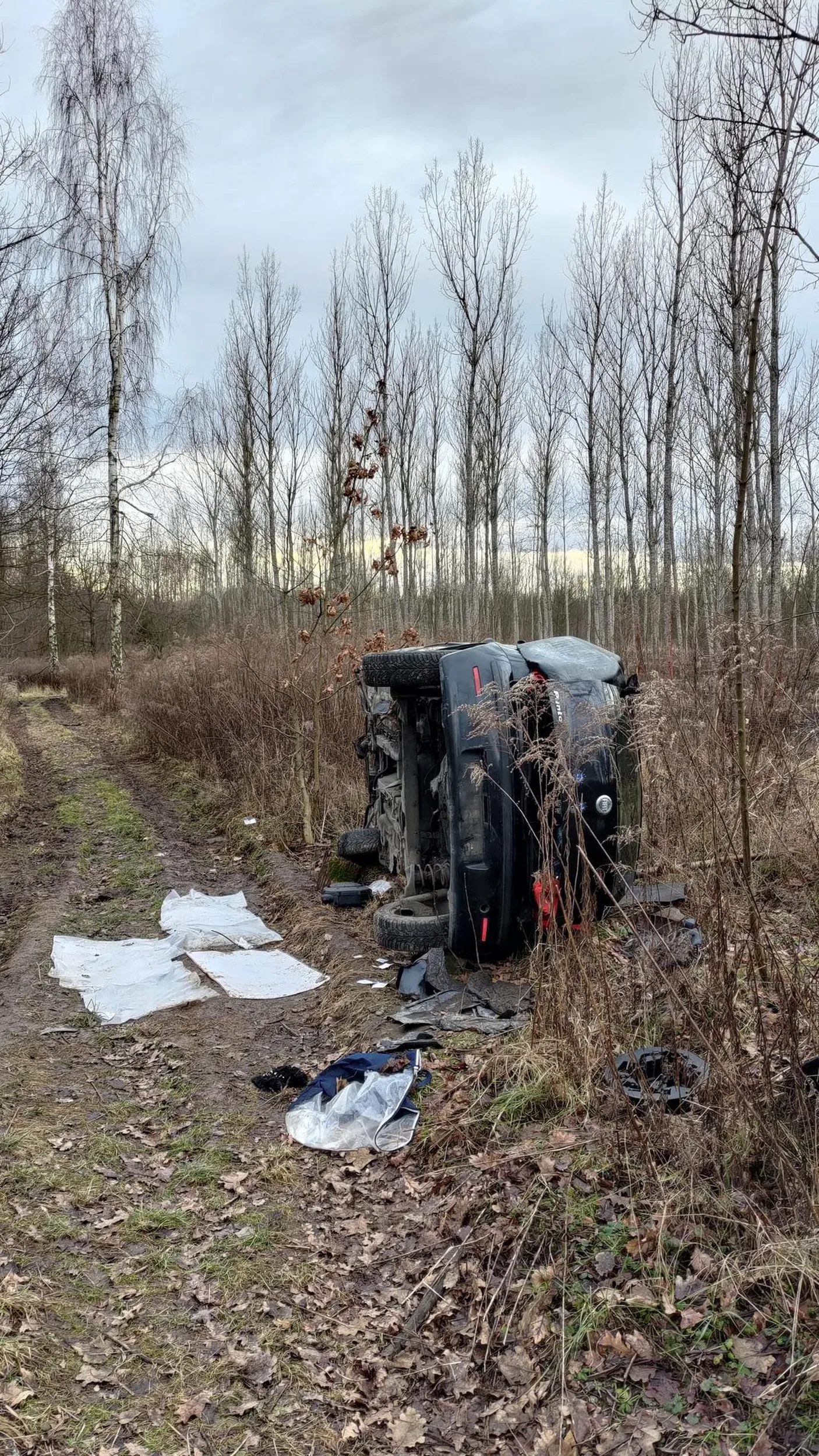 Byłem na treningu w lasku Złotoryjskim w Legnicy i trafiłem na to cudo. Jakieś 100 metrów od drogi. Chyba już troszkę tu leży bo zaczyna się "utylizować". Zgłosiłem w aplikacji mObywatel. Ciekaw jestem jak ta usługa działa i kiedy go sprzątną.