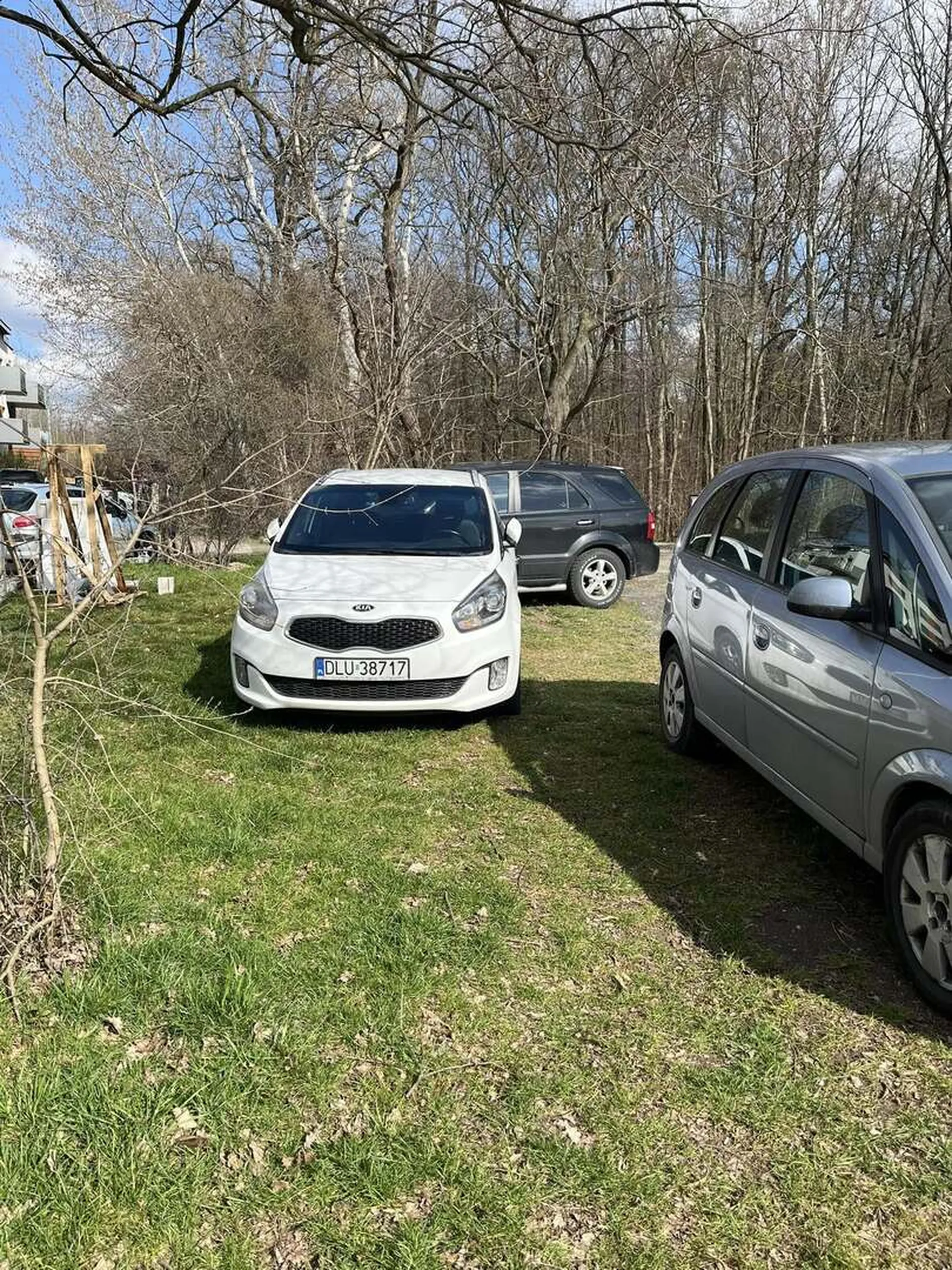 Rozjeżdża trawnik mimo, ze dosłownie 5 metrów obok jest usypane żwirem miejsce do zaparkowania
