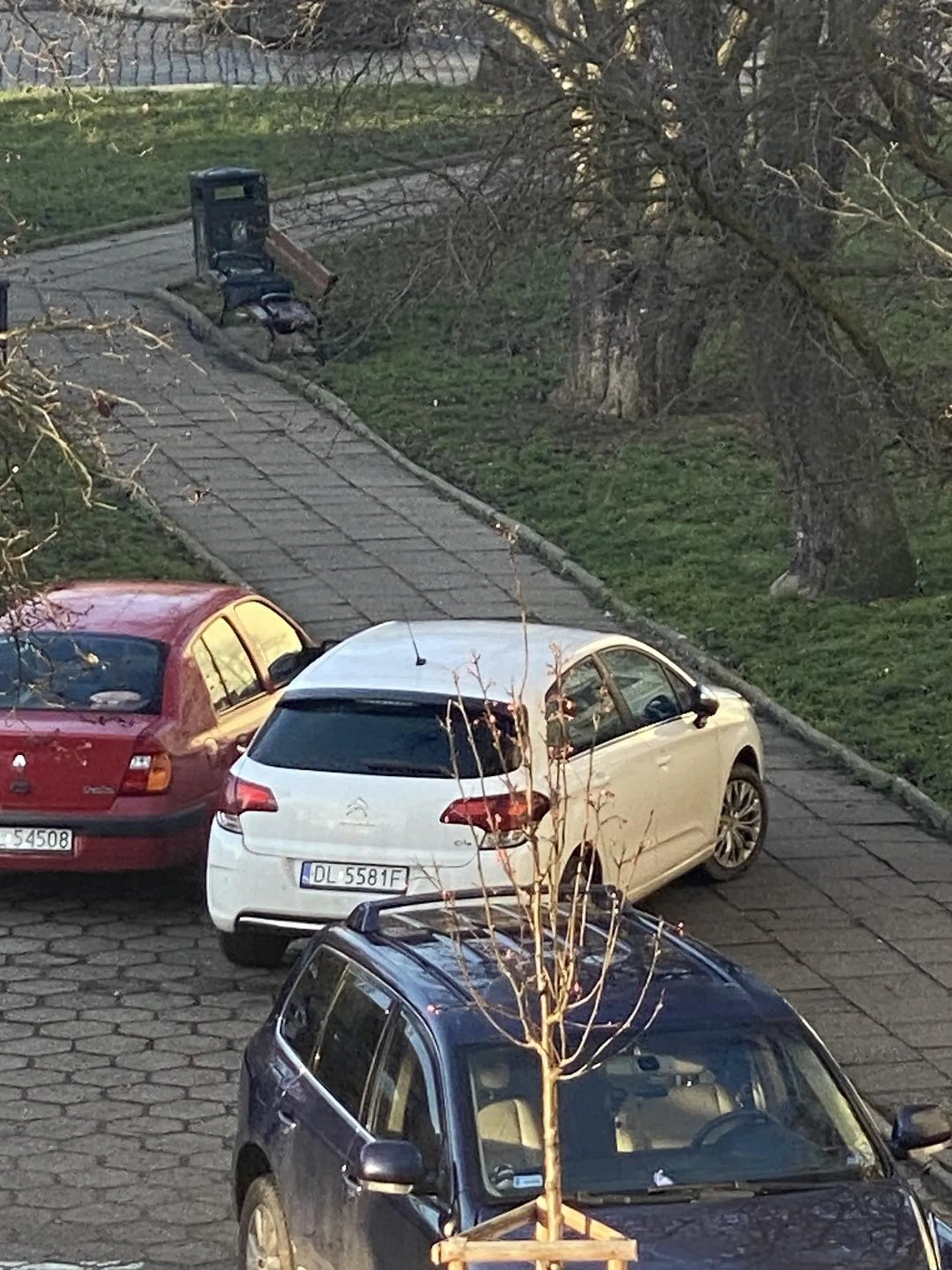 Tak parkuje szmata co nie szanuje przejścia dla pieszych!!!!