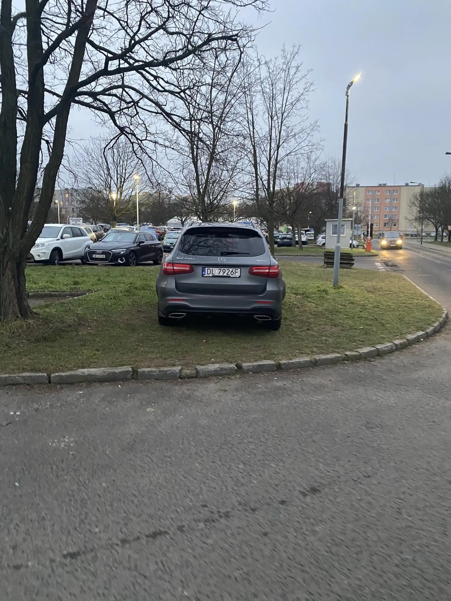 Dzięki takim kǒrwom nie mamy trawników a koleiny!!!!